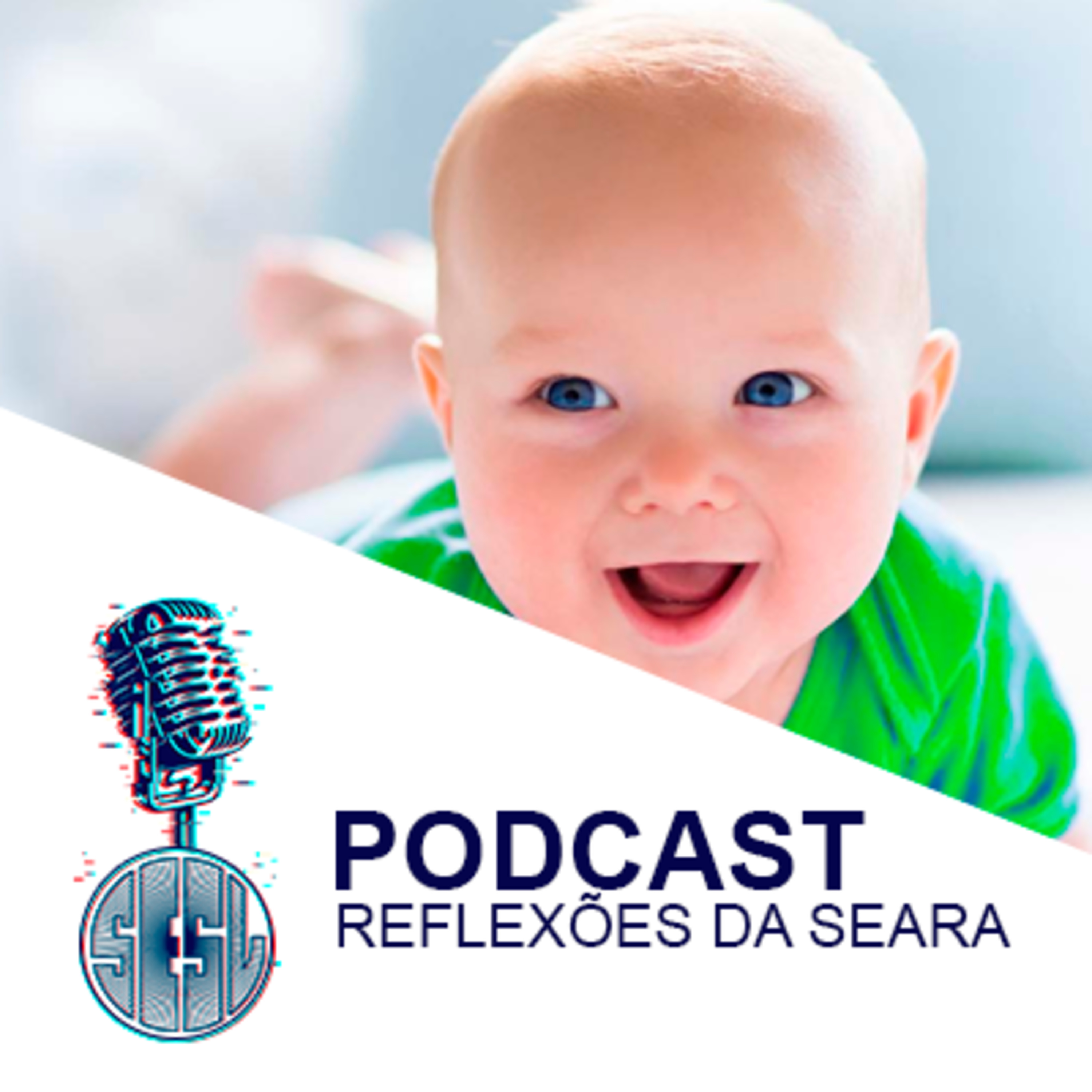 Reflexões da Seara