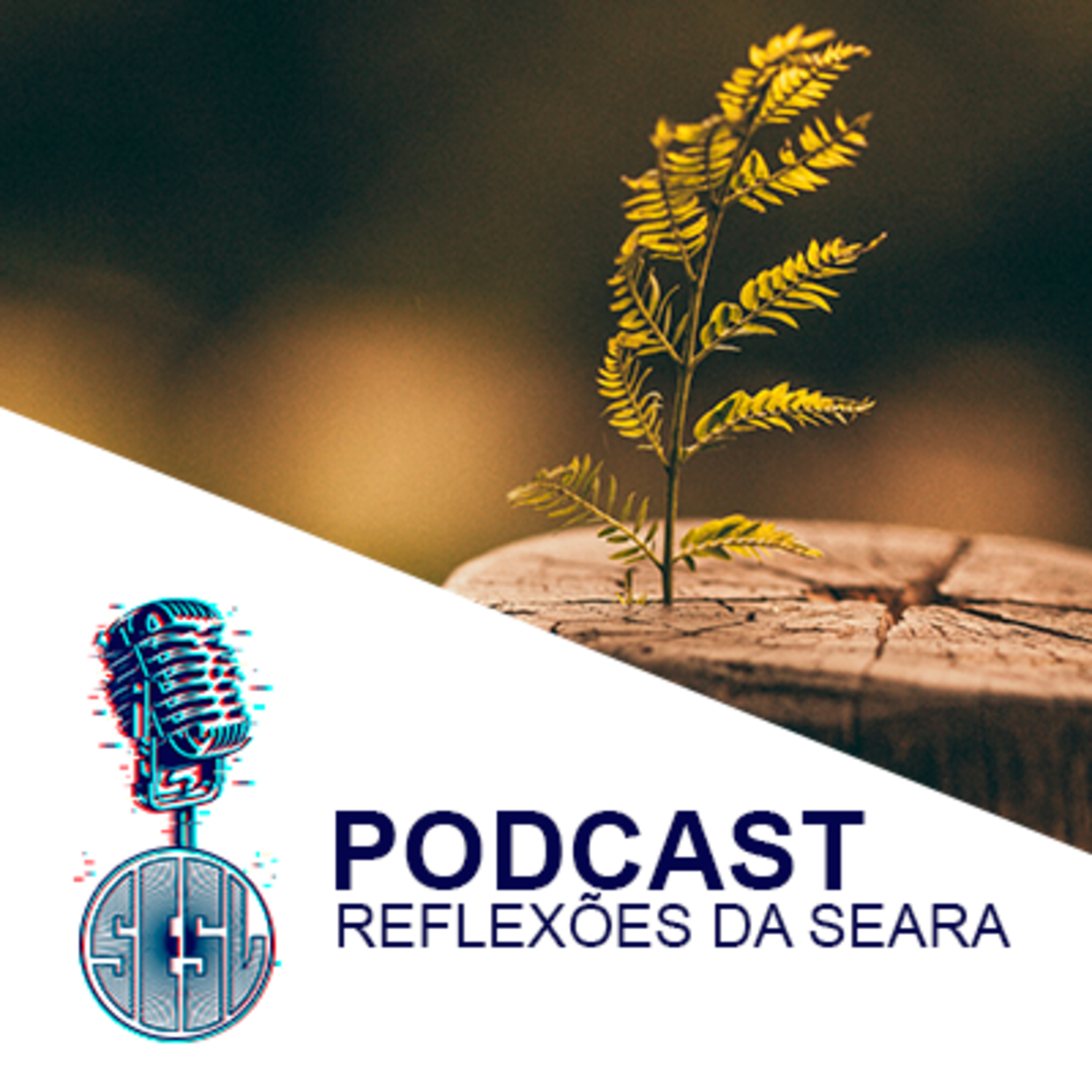 Reflexões da Seara