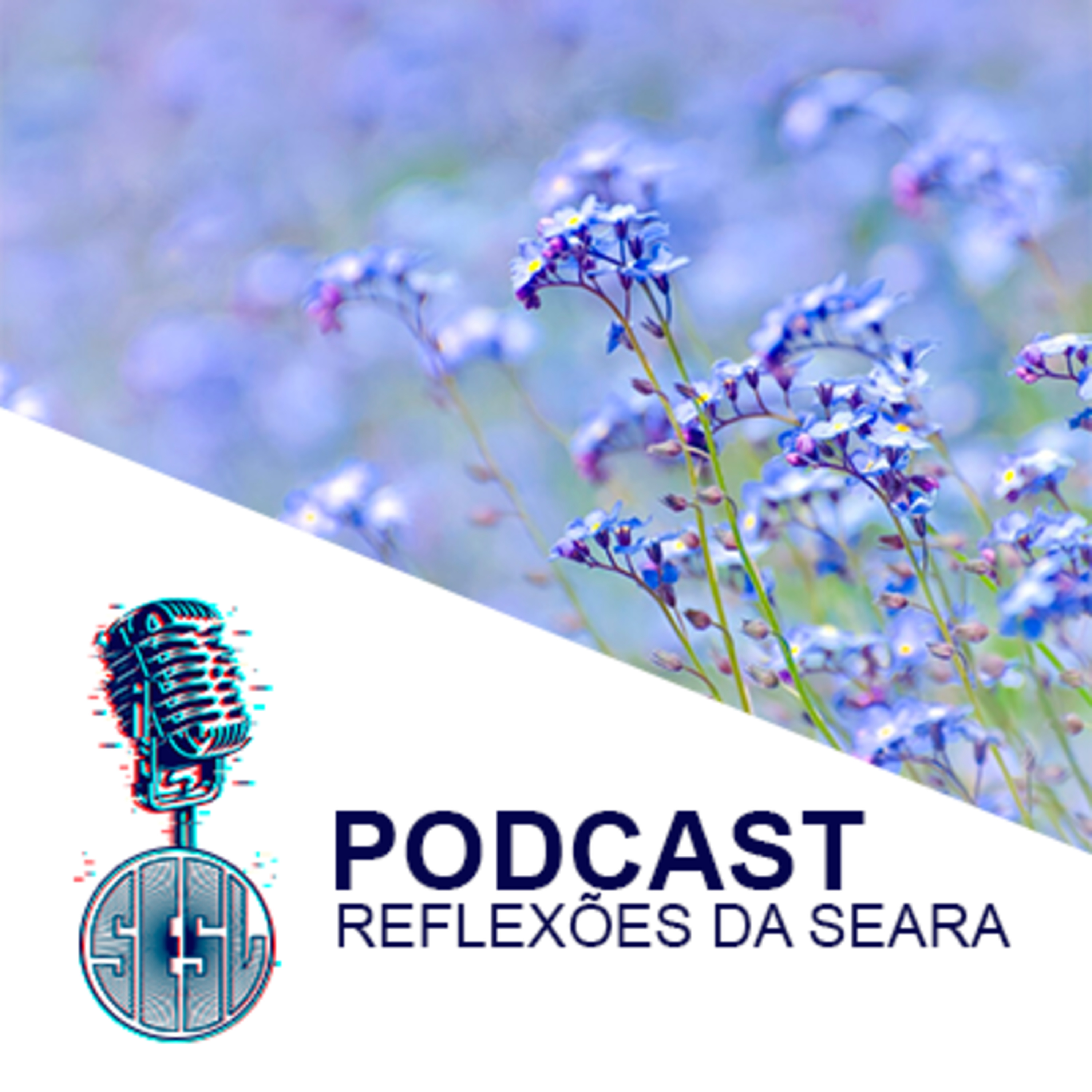 Reflexões da Seara