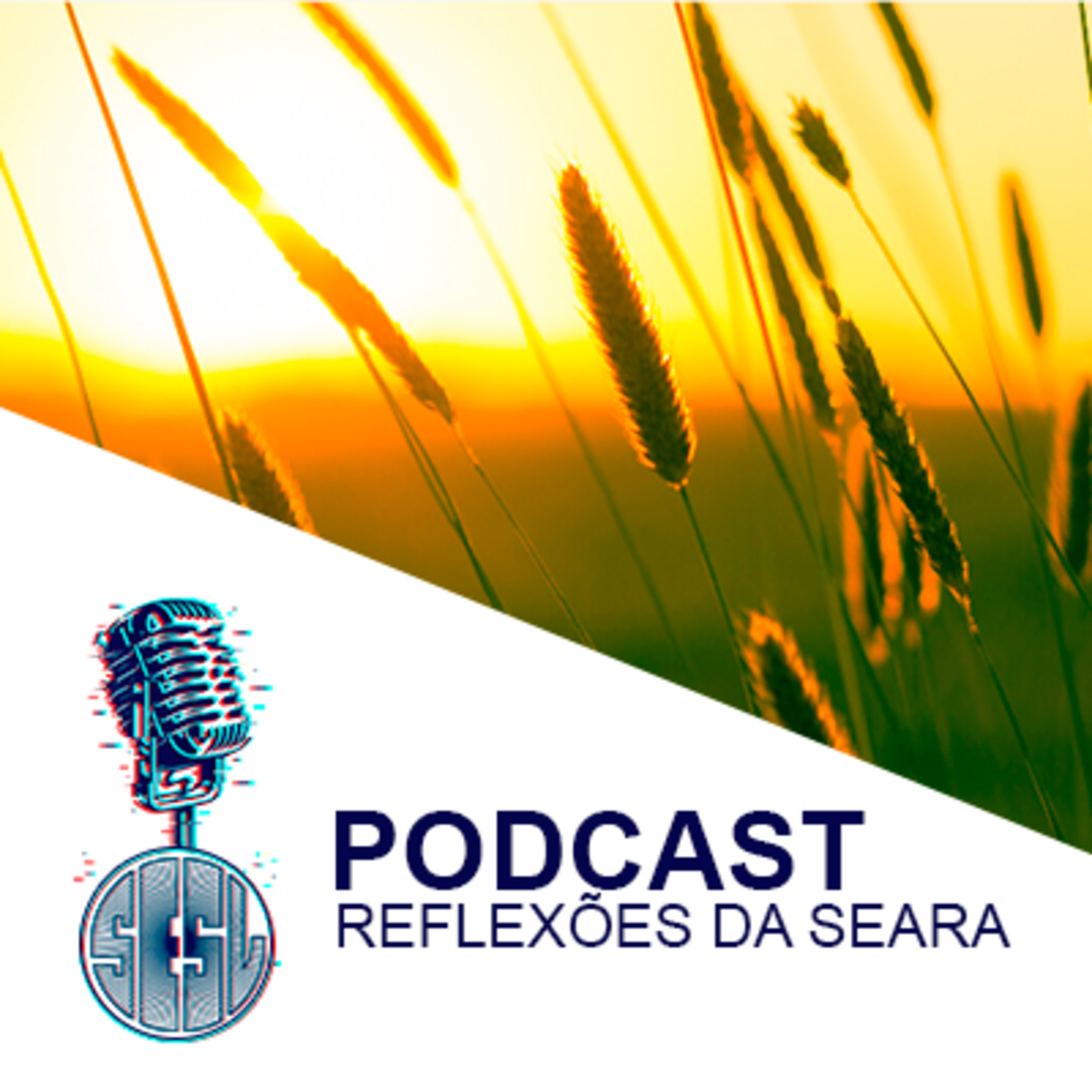 Reflexões da Seara