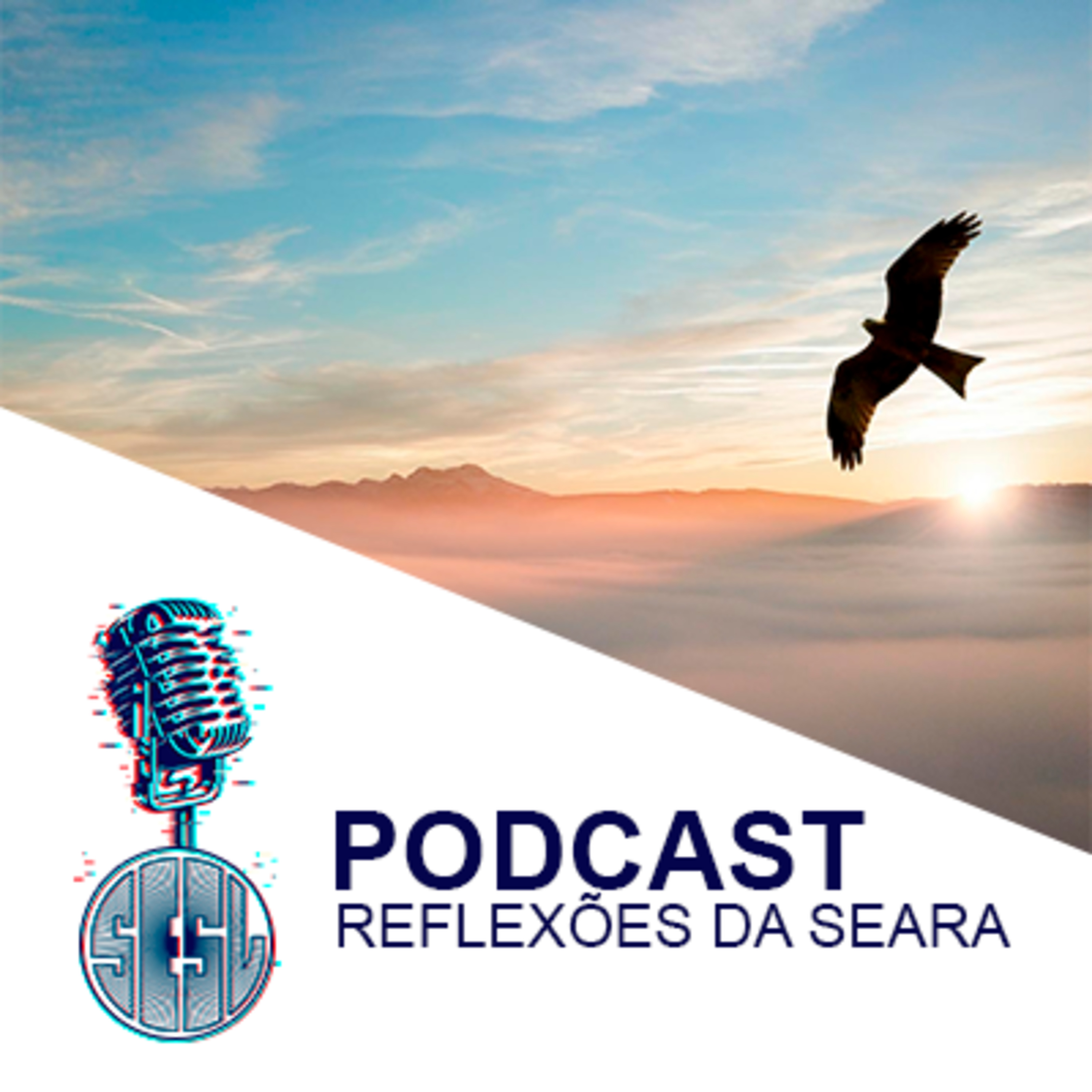 Reflexões da Seara