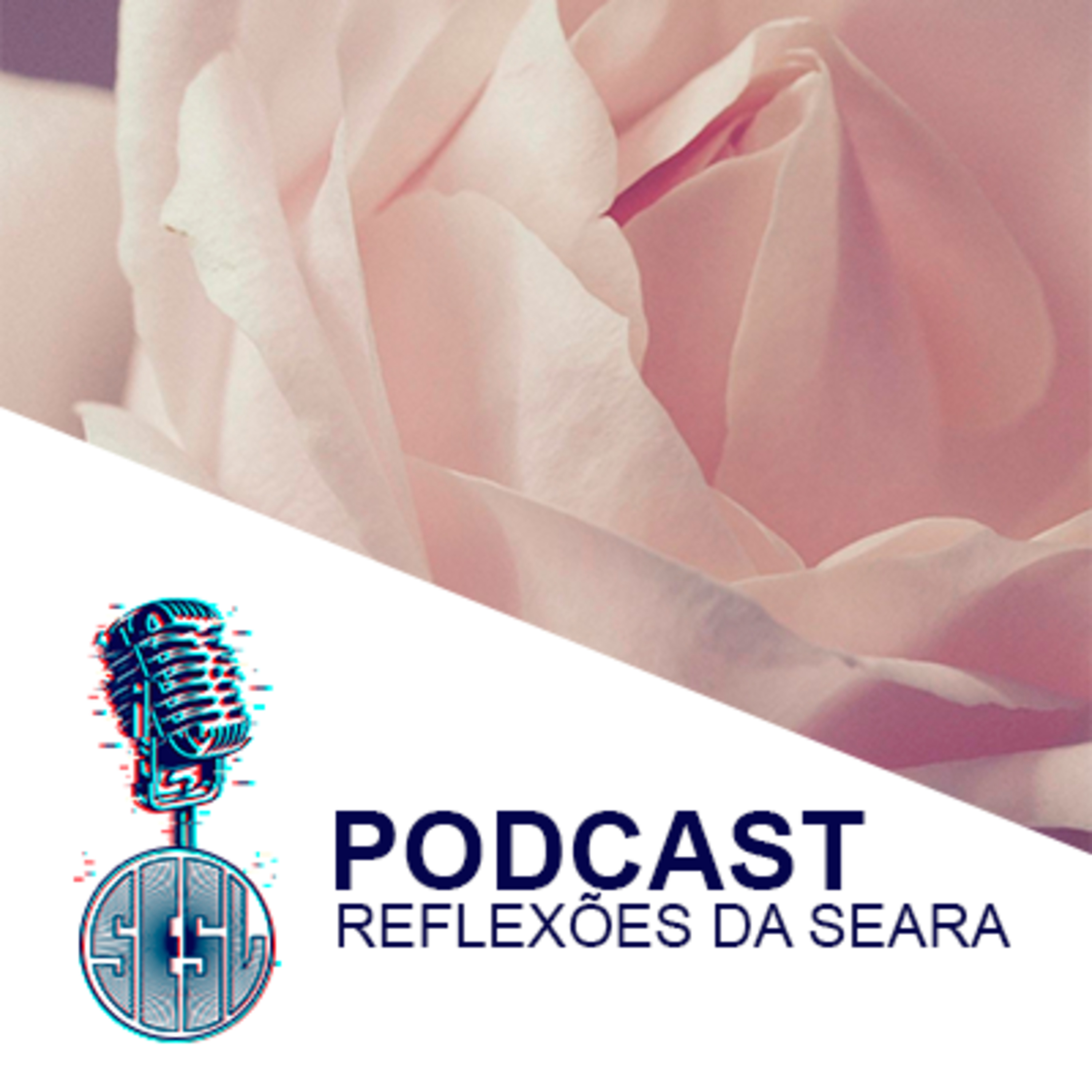 Reflexões da Seara