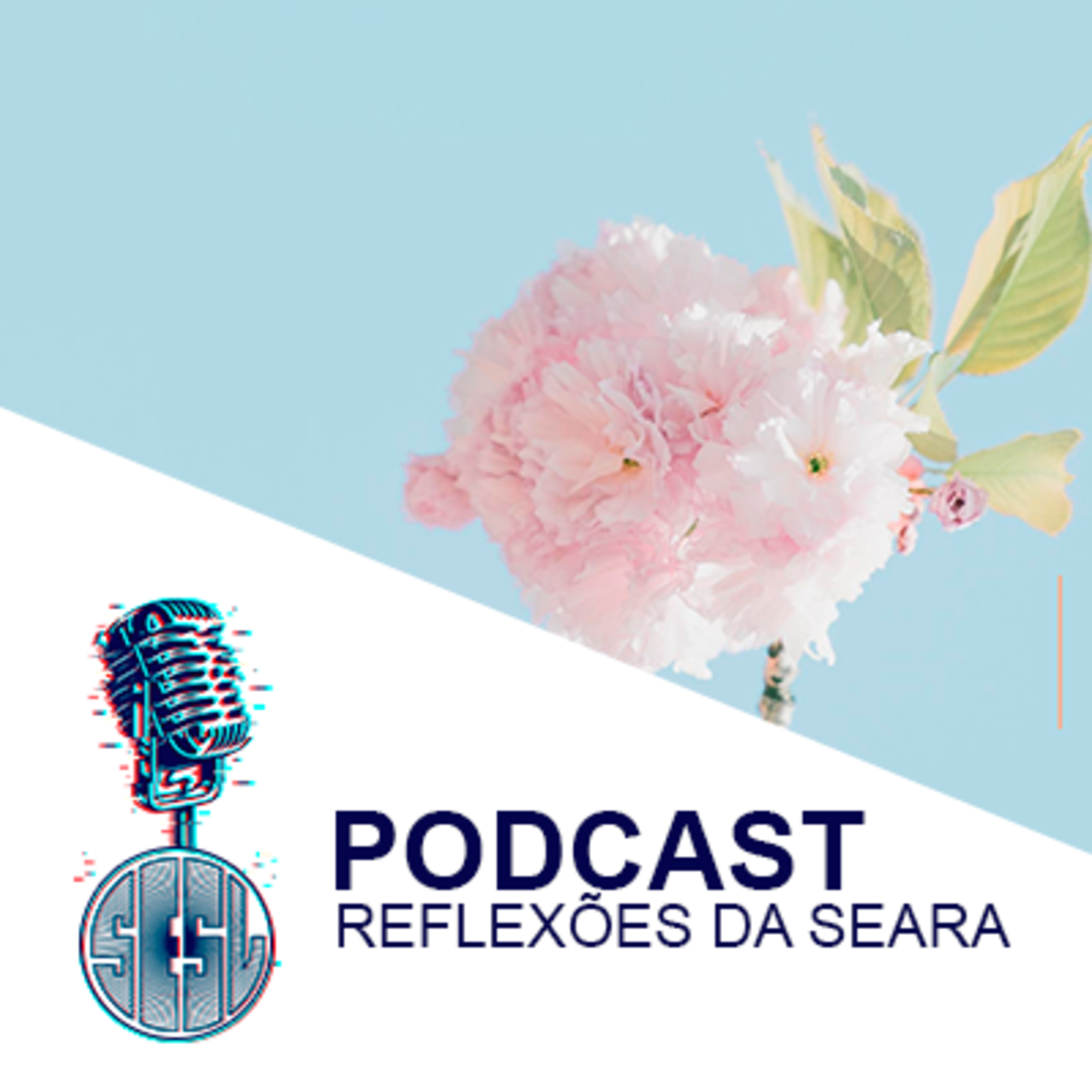 Reflexões da Seara