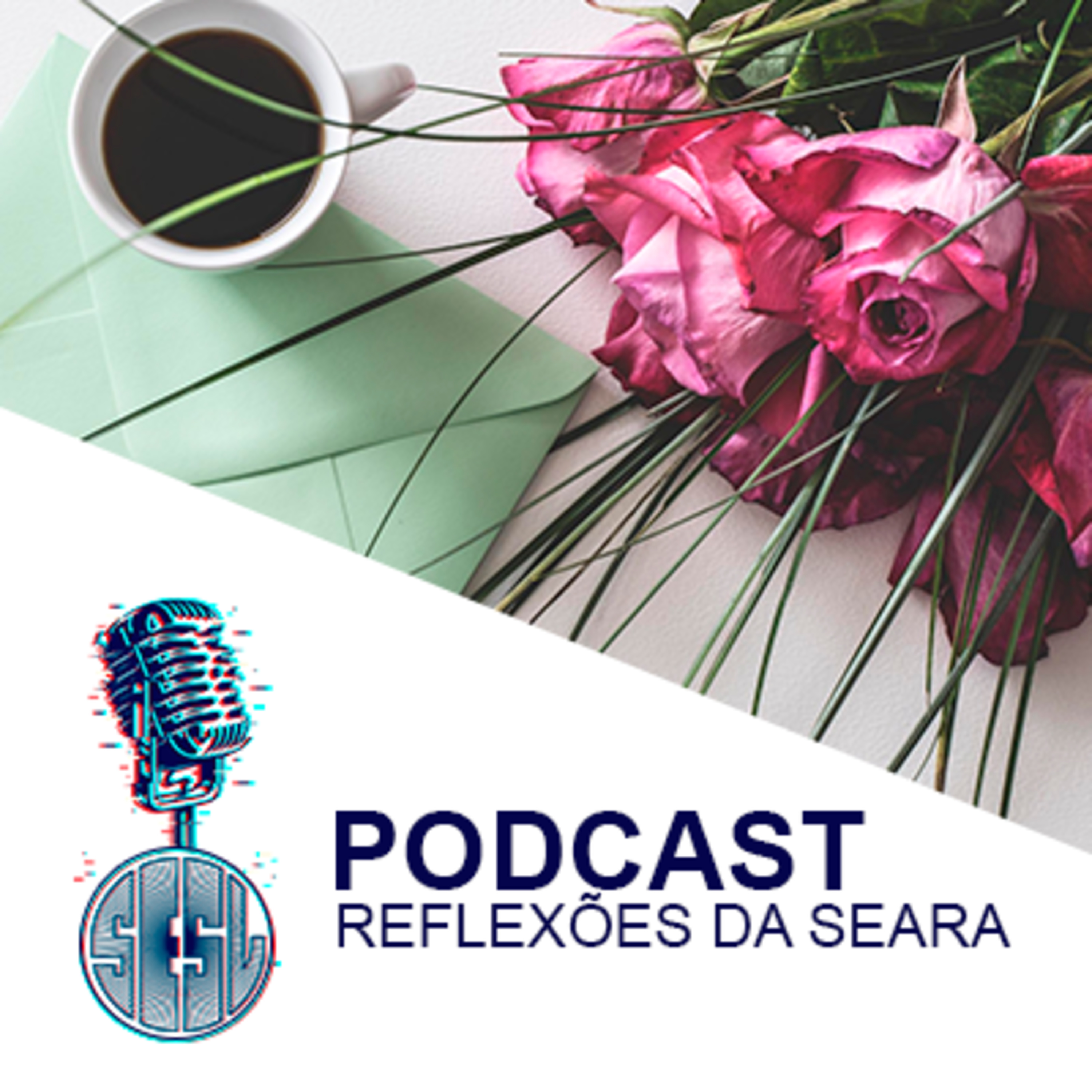 Reflexões da Seara