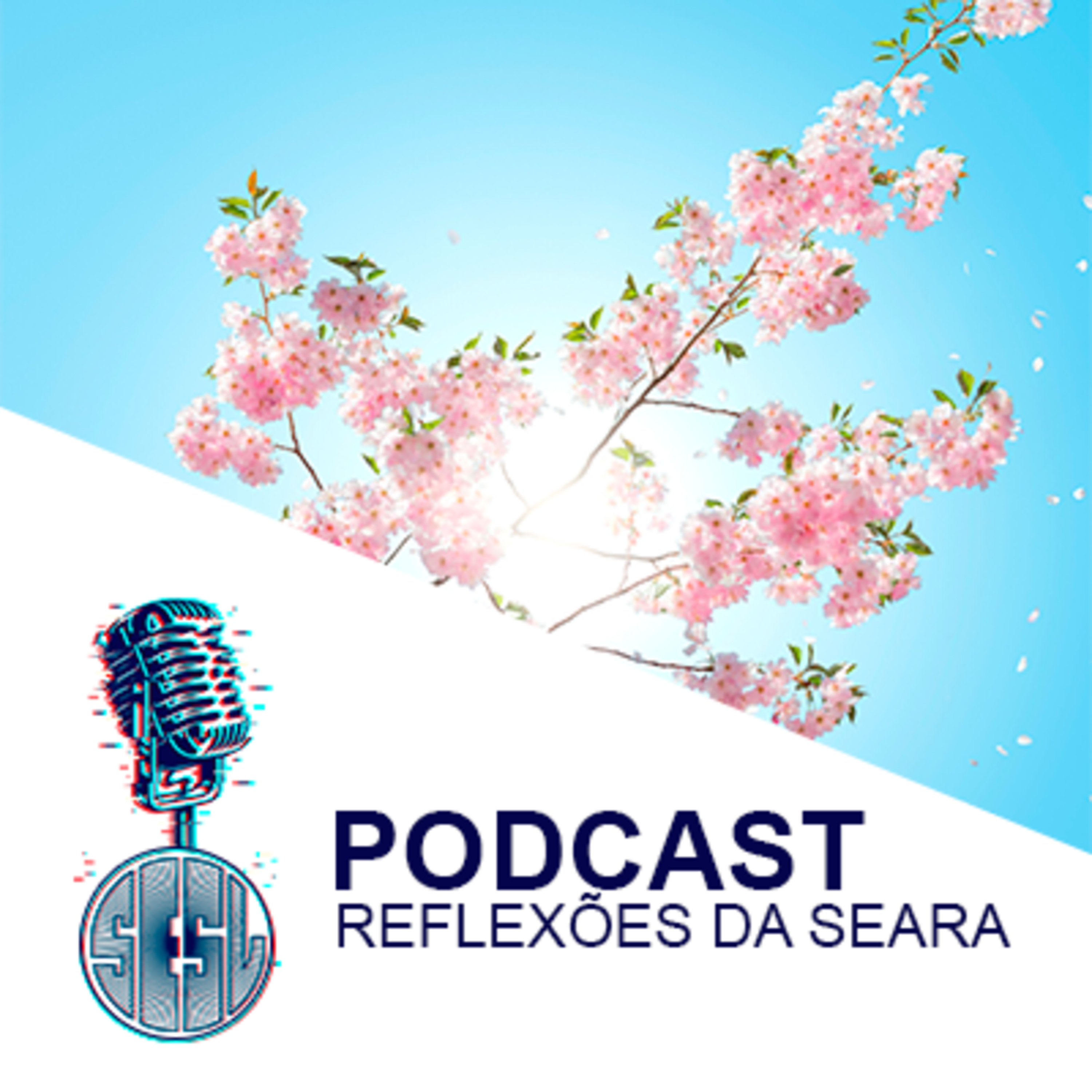 Reflexões da Seara