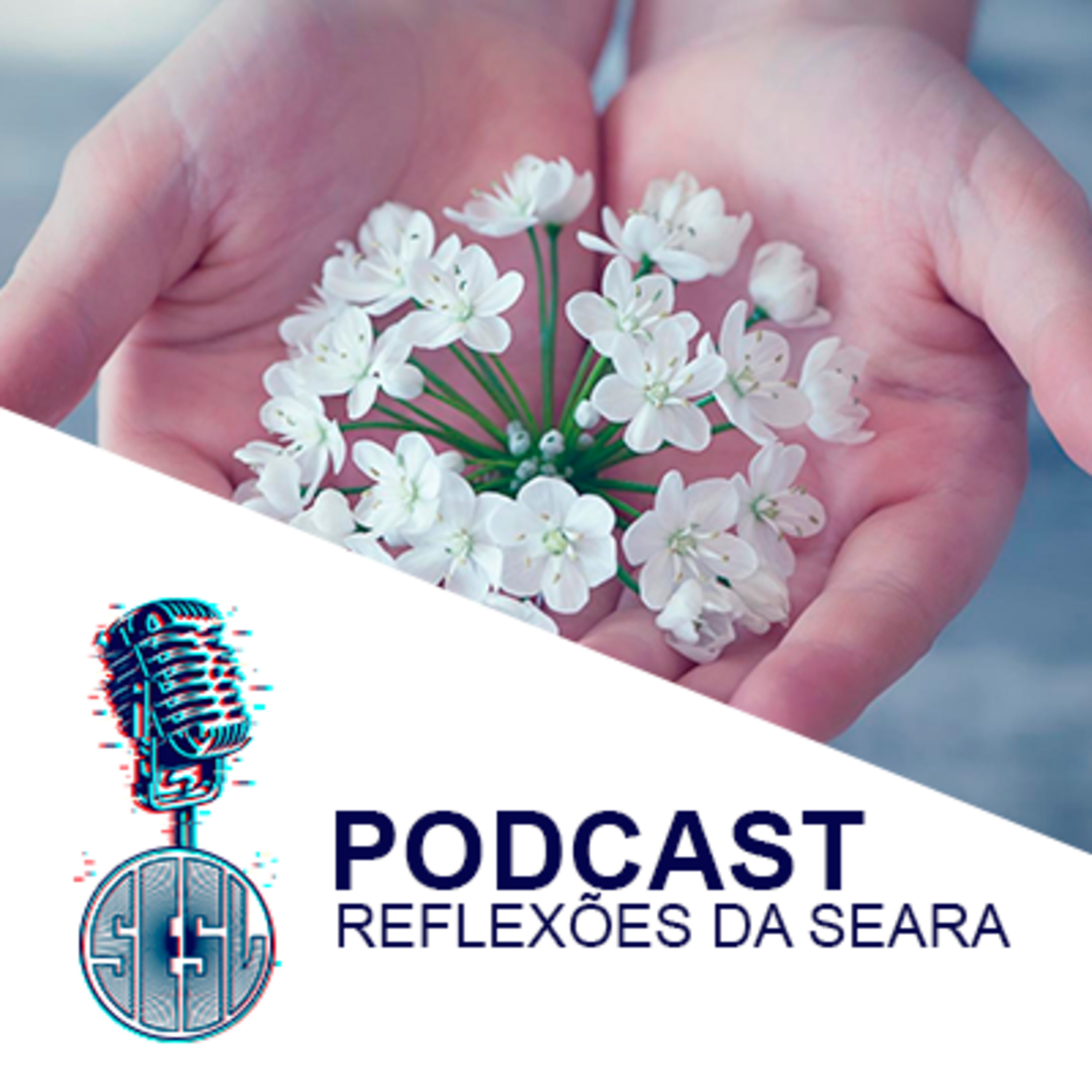 Reflexões da Seara