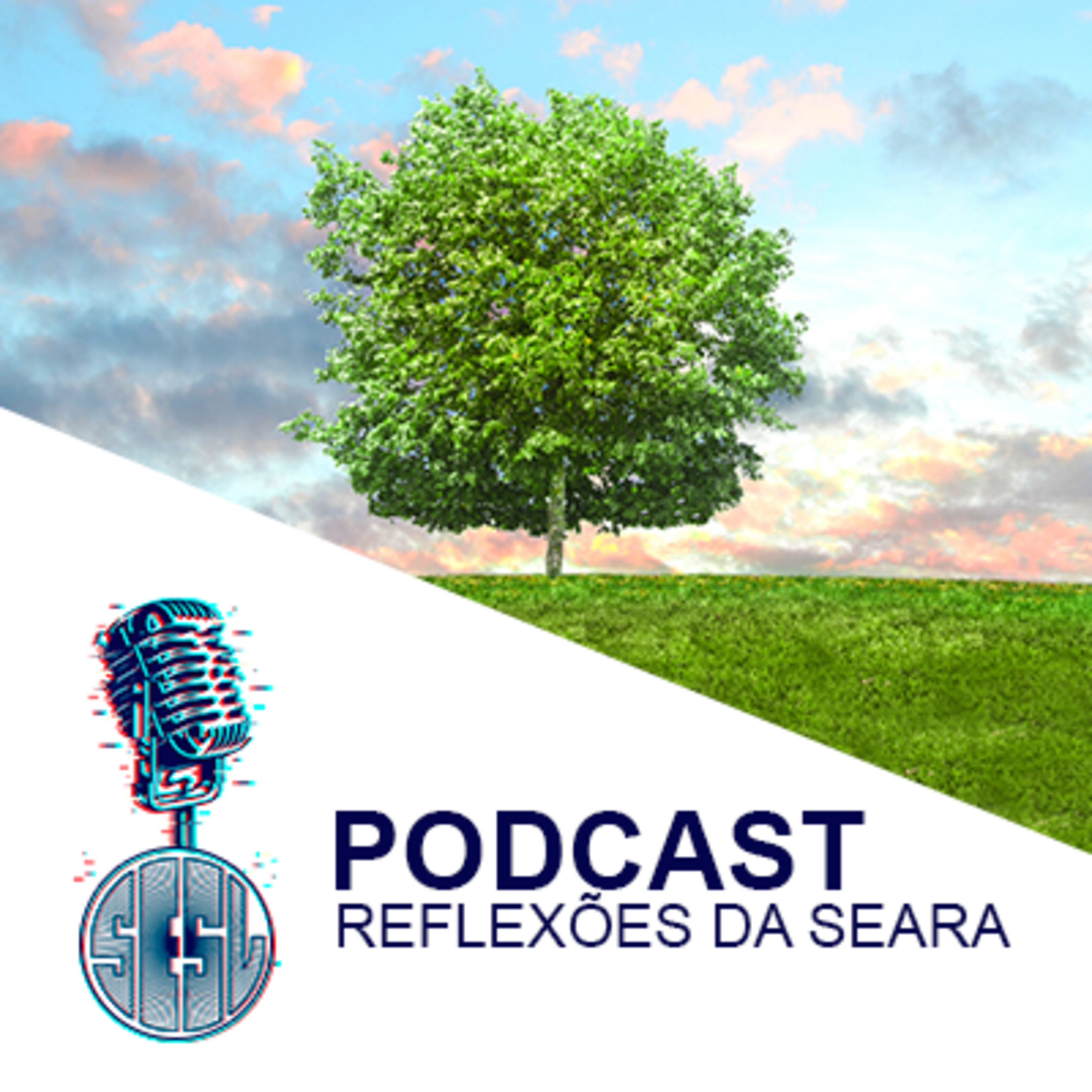 Reflexões da Seara