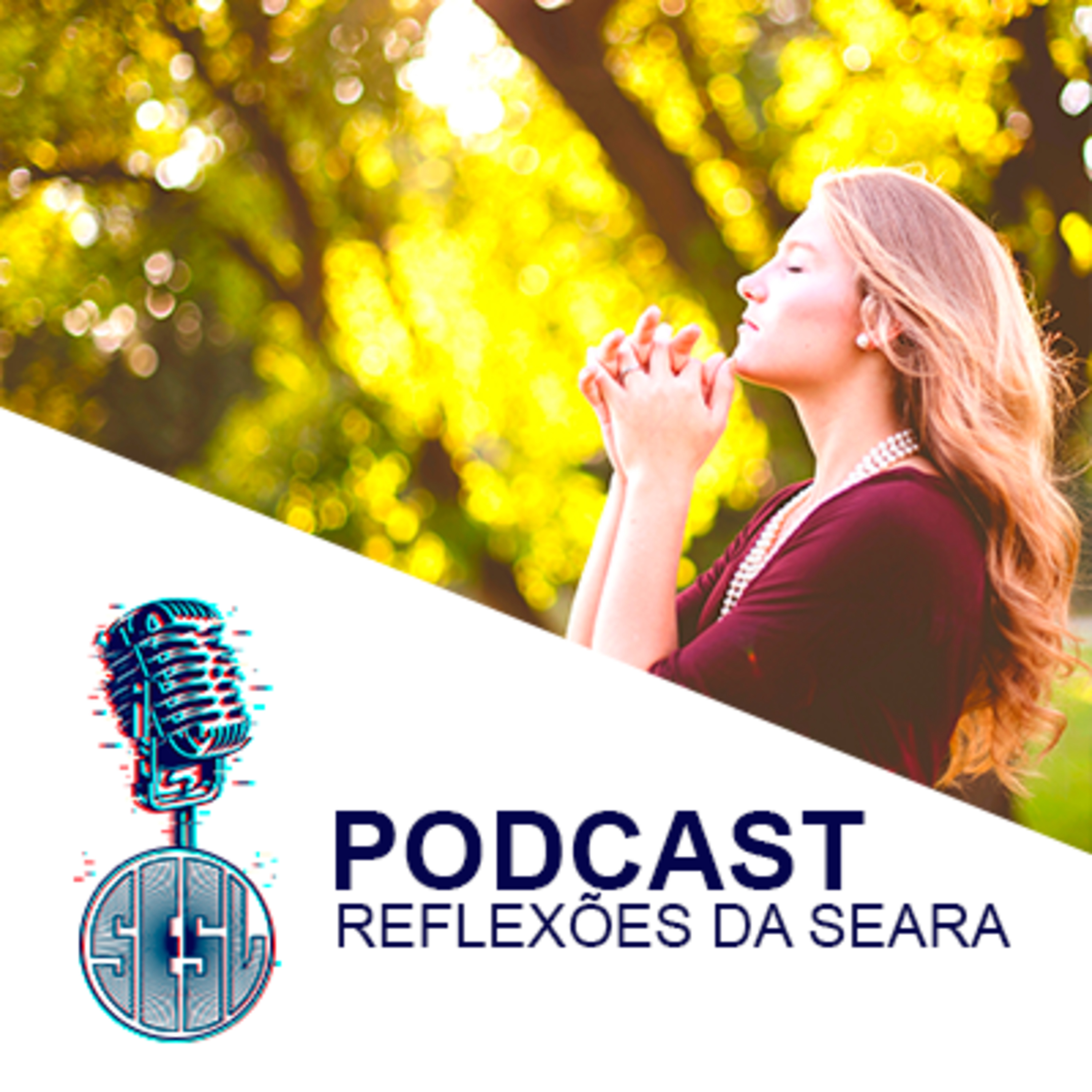 Reflexões da Seara