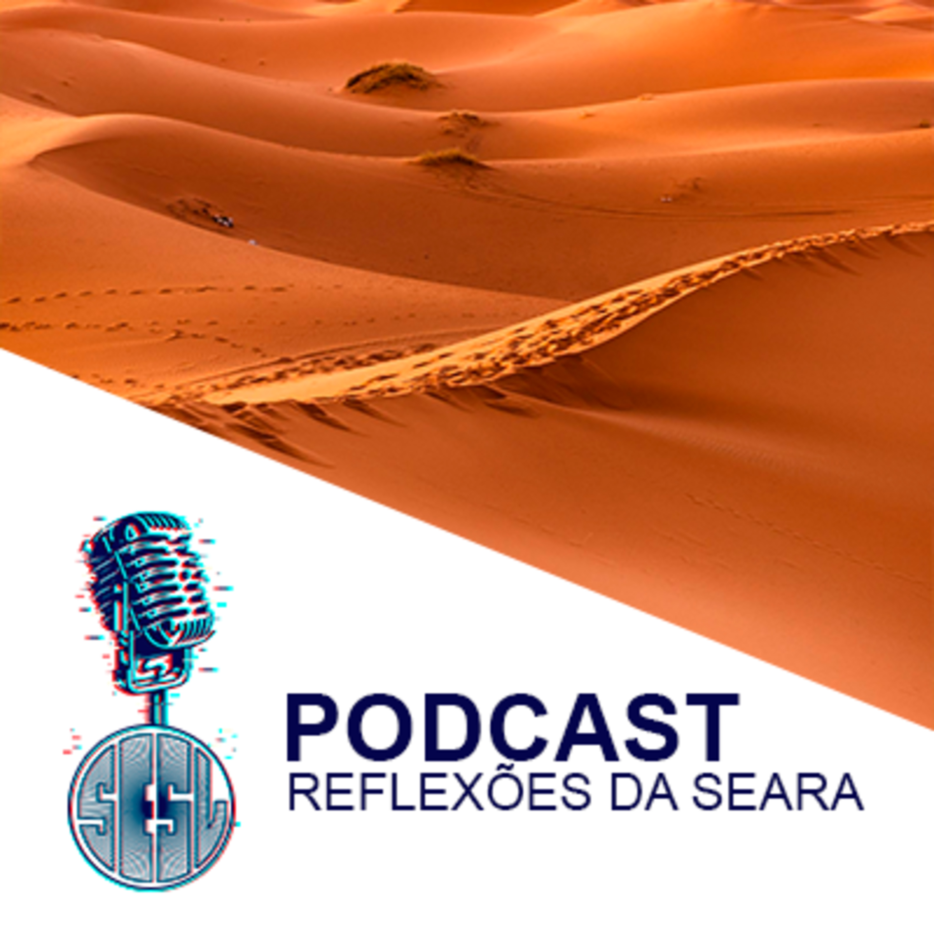 Reflexões da Seara
