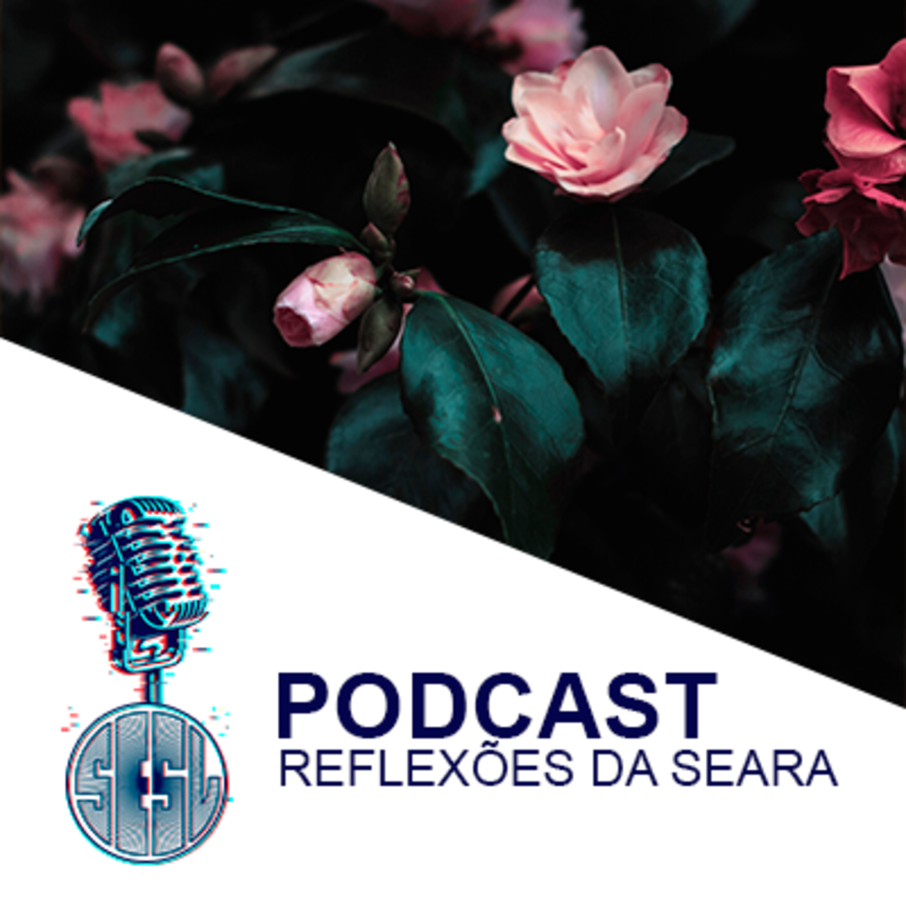 Reflexões da Seara