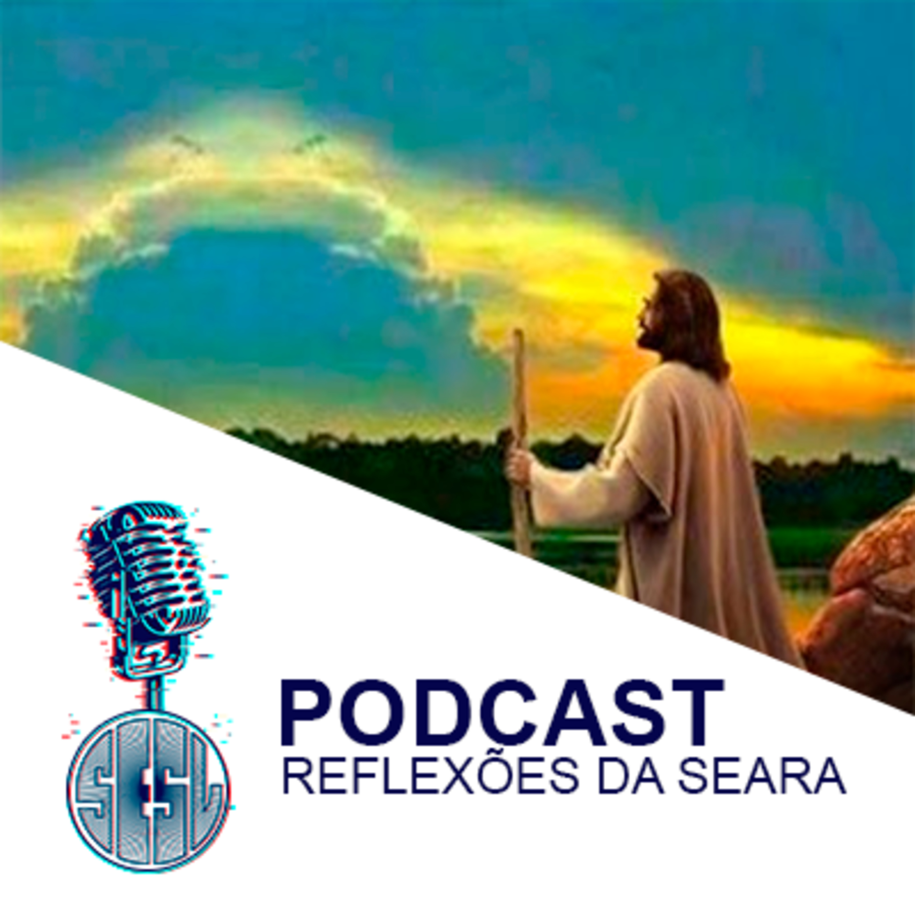 Reflexões da Seara