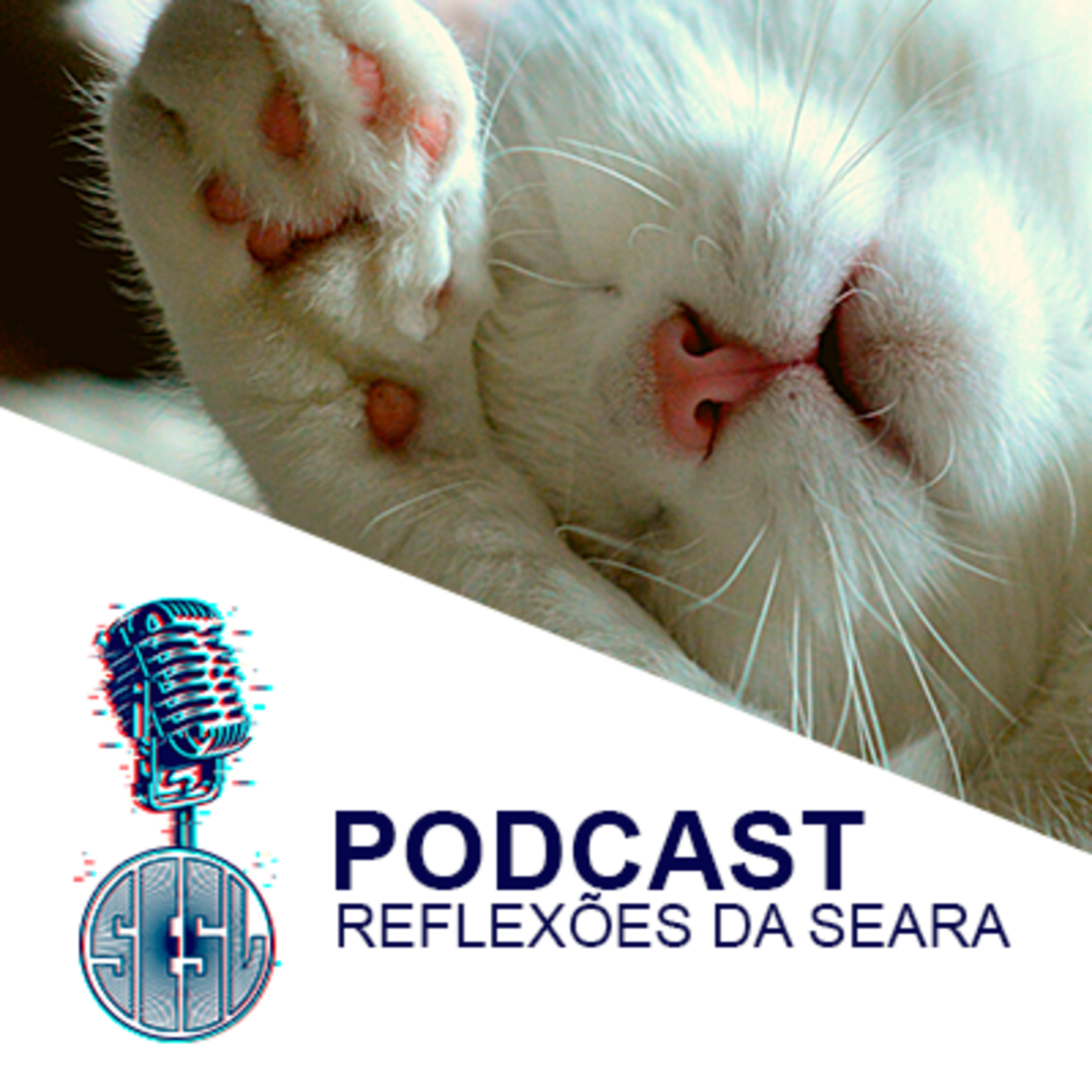 Reflexões da Seara