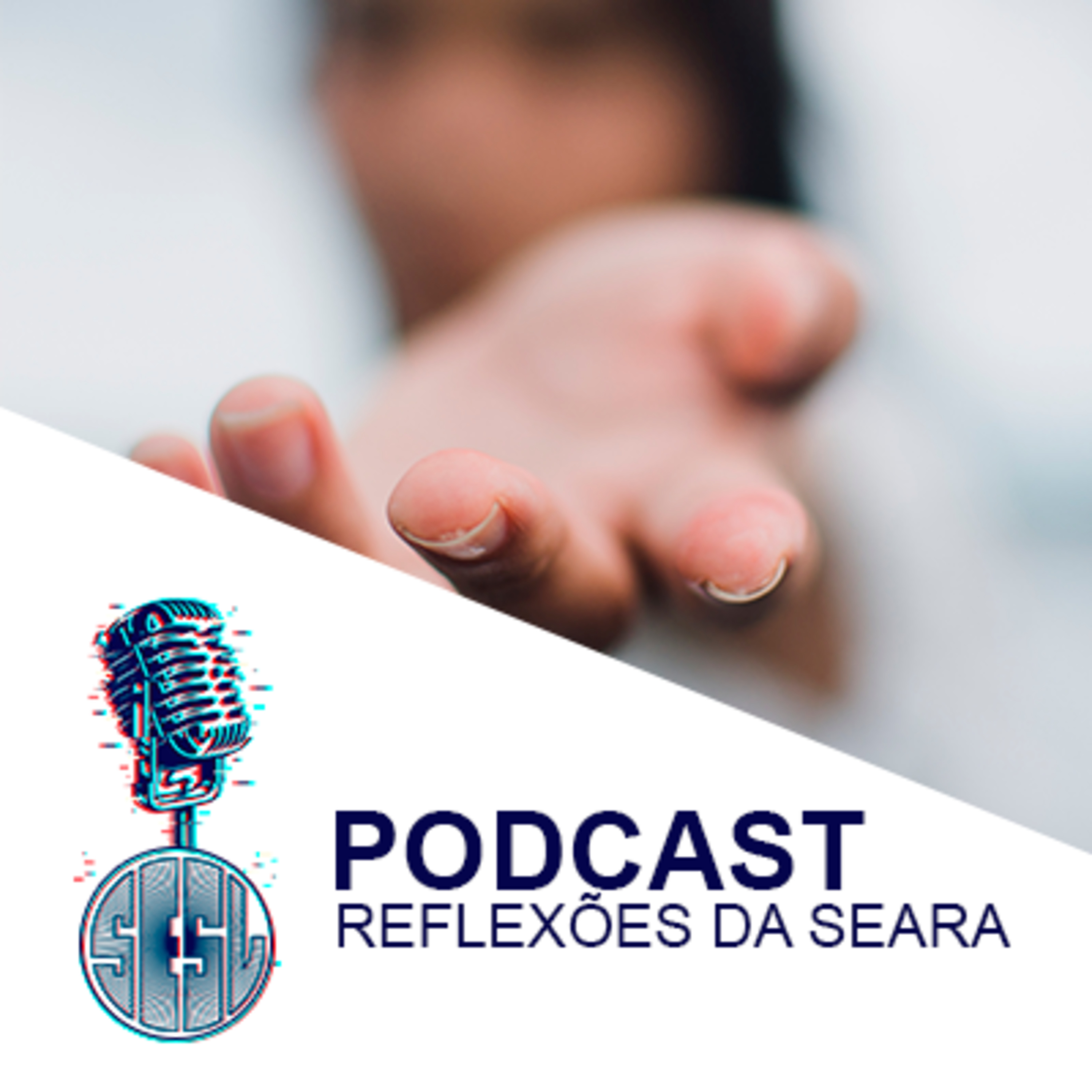 Reflexões da Seara
