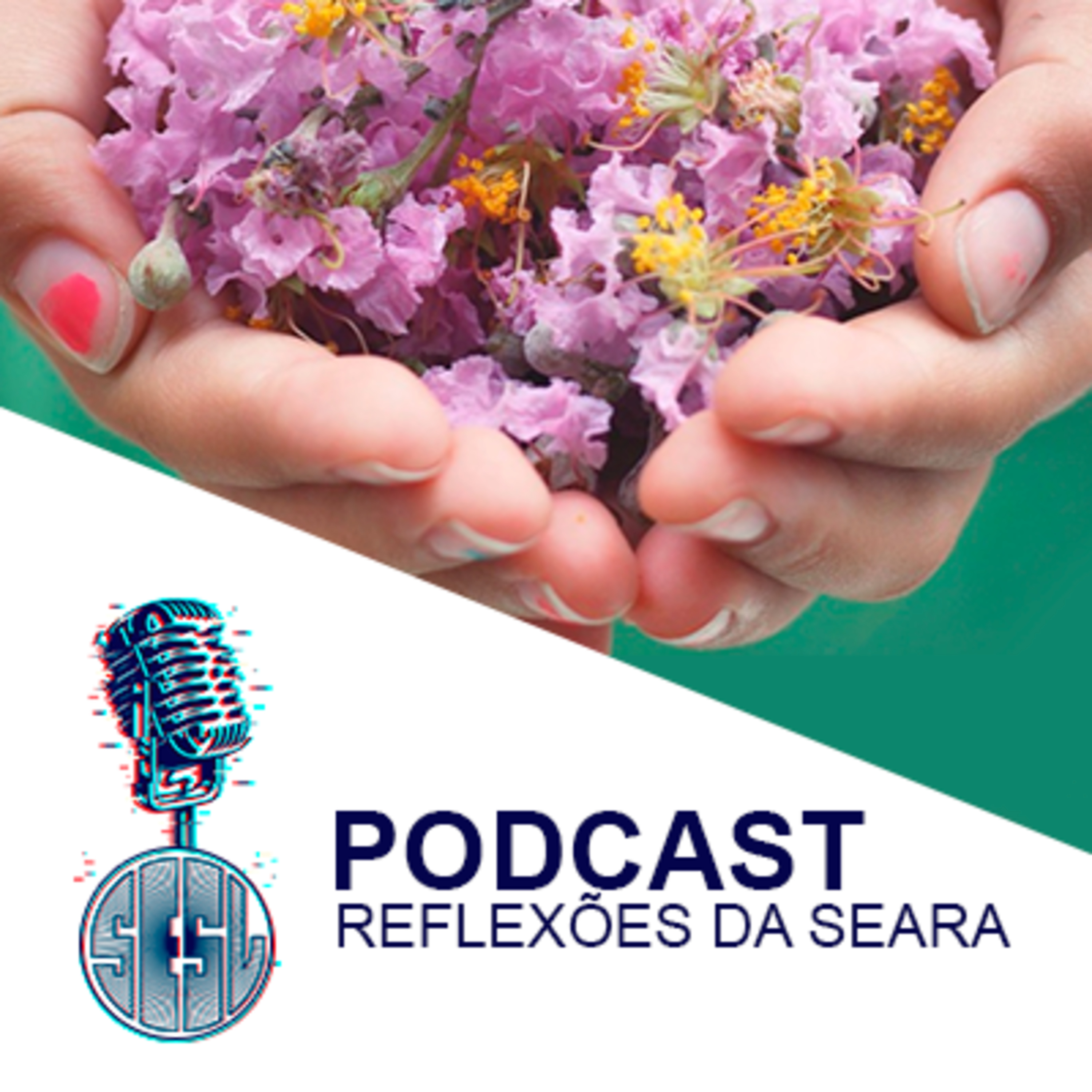 Reflexões da Seara