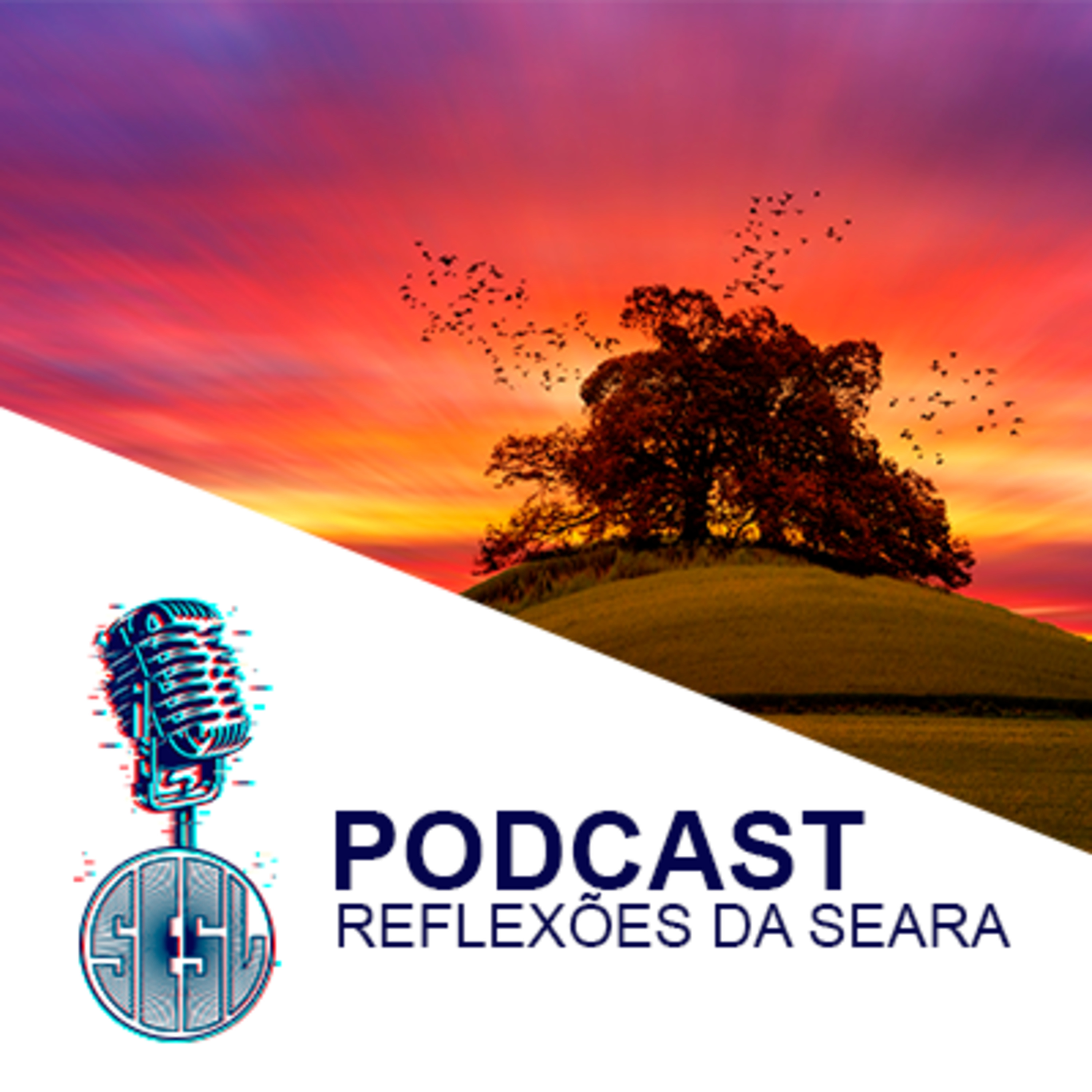 Reflexões da Seara