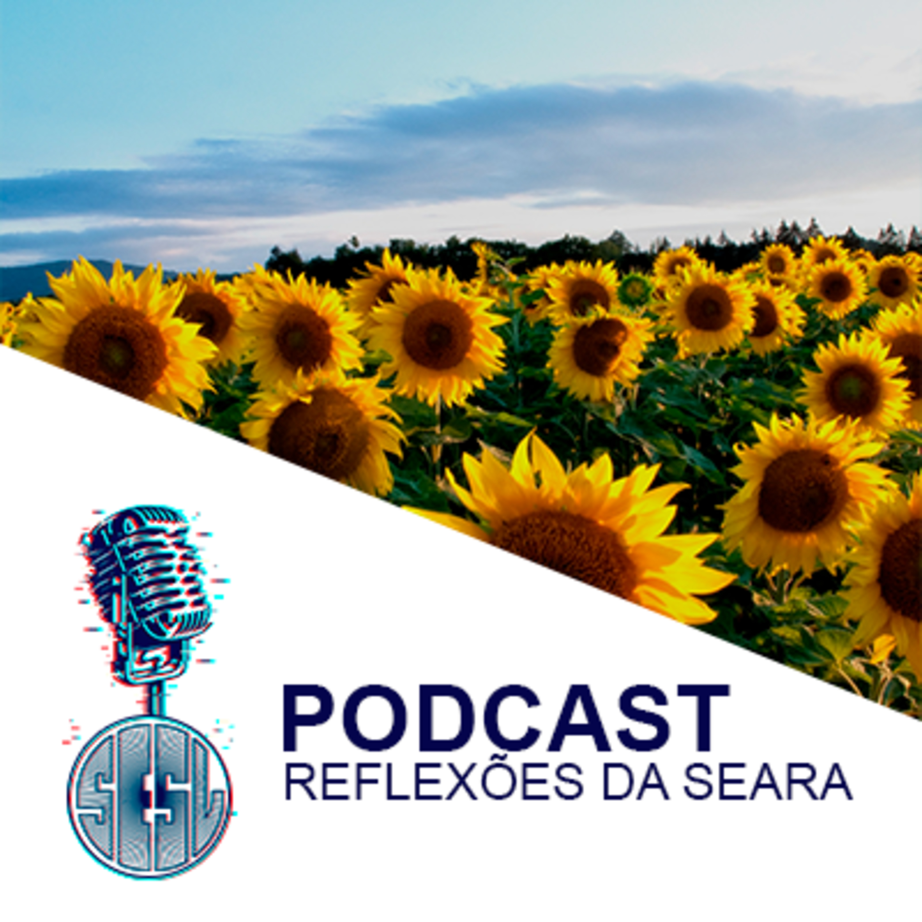 Reflexões da Seara