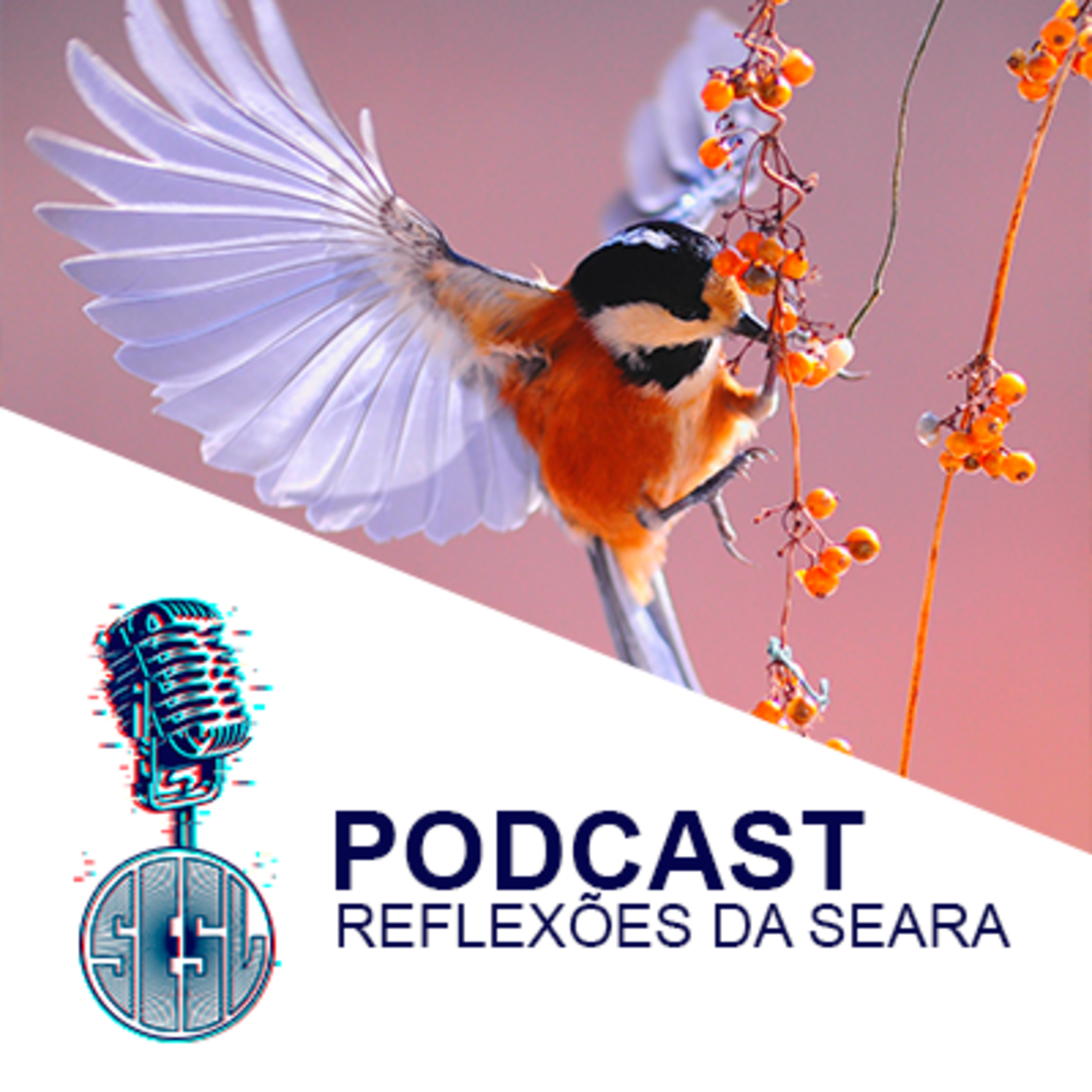 Reflexões da Seara