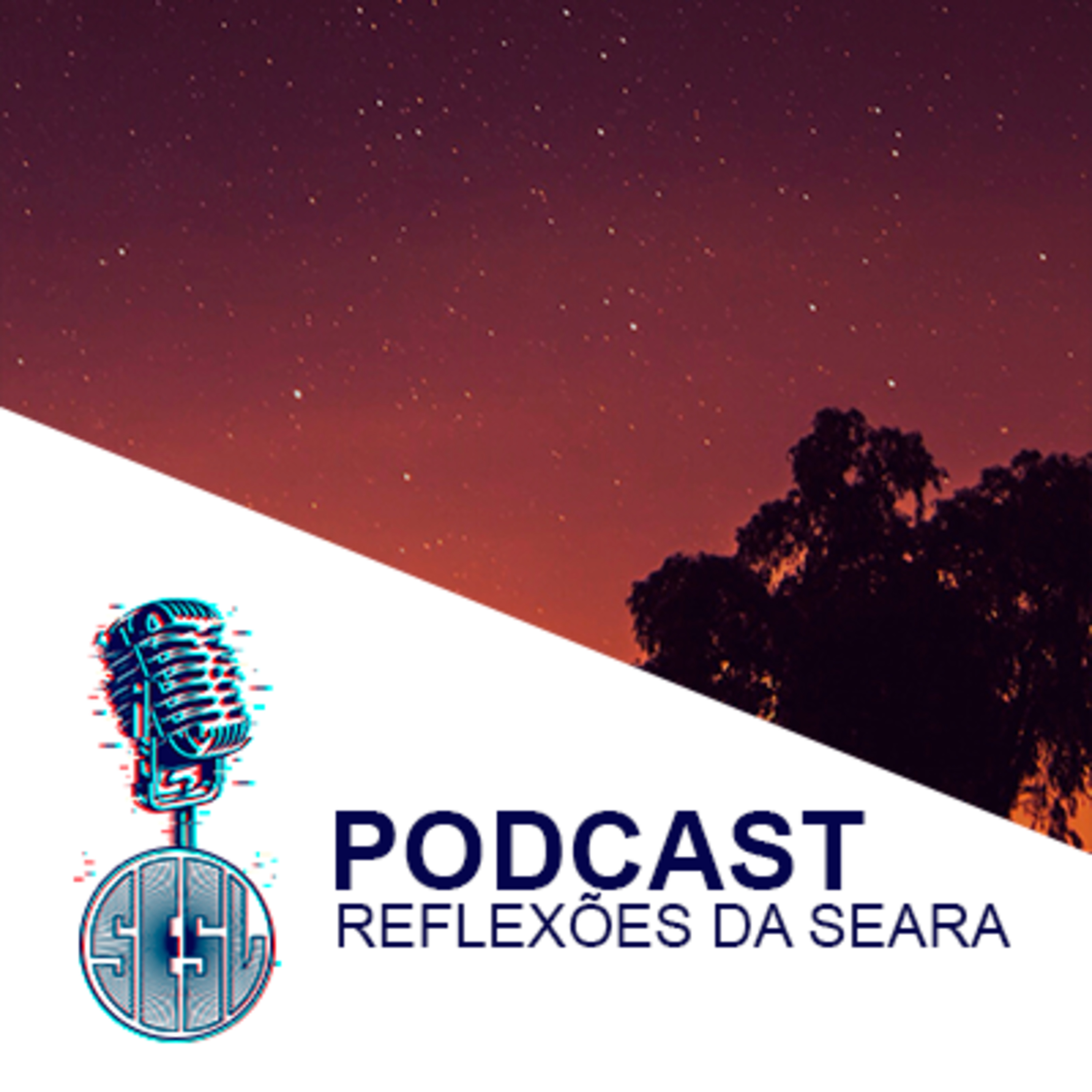 Reflexões da Seara