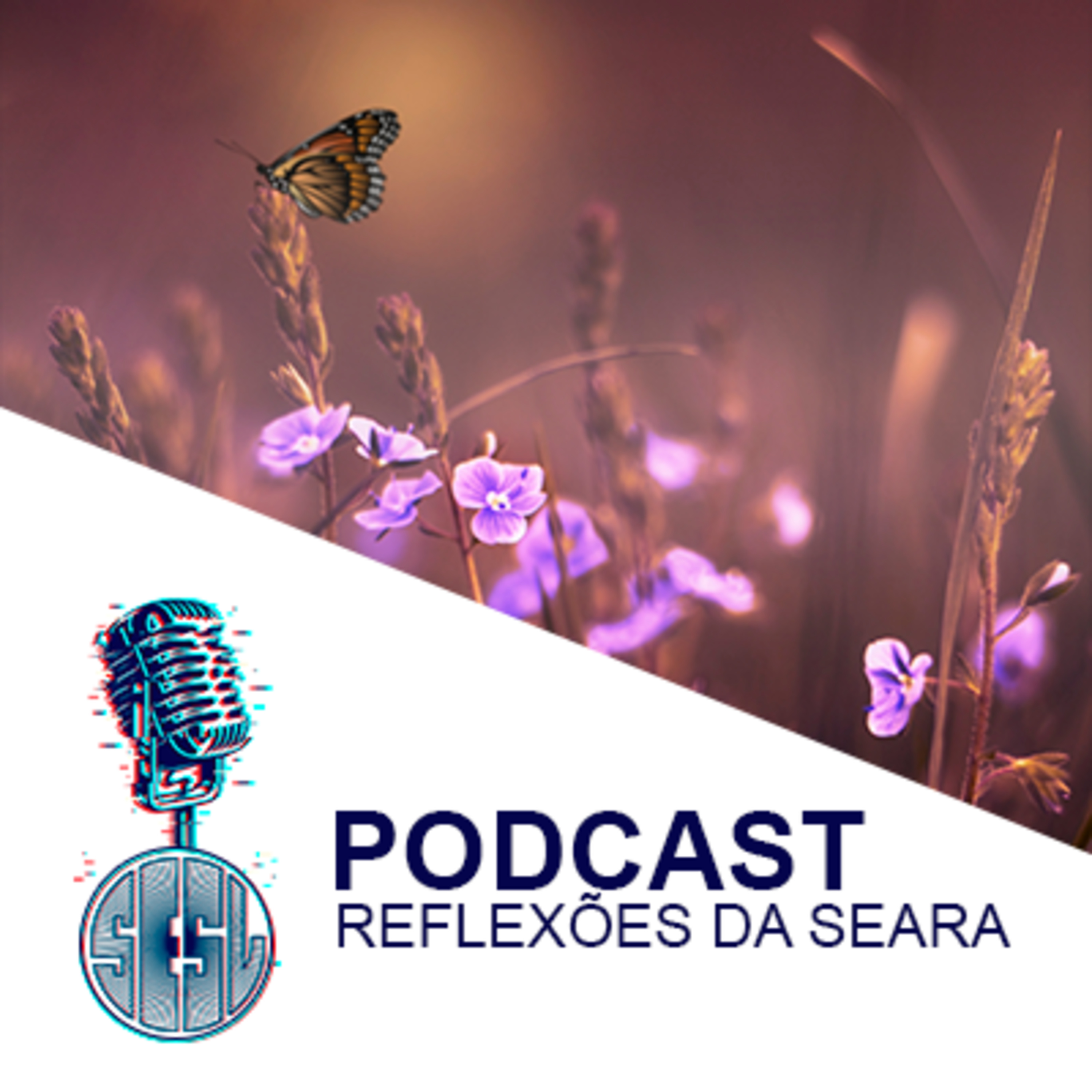 Reflexões da Seara