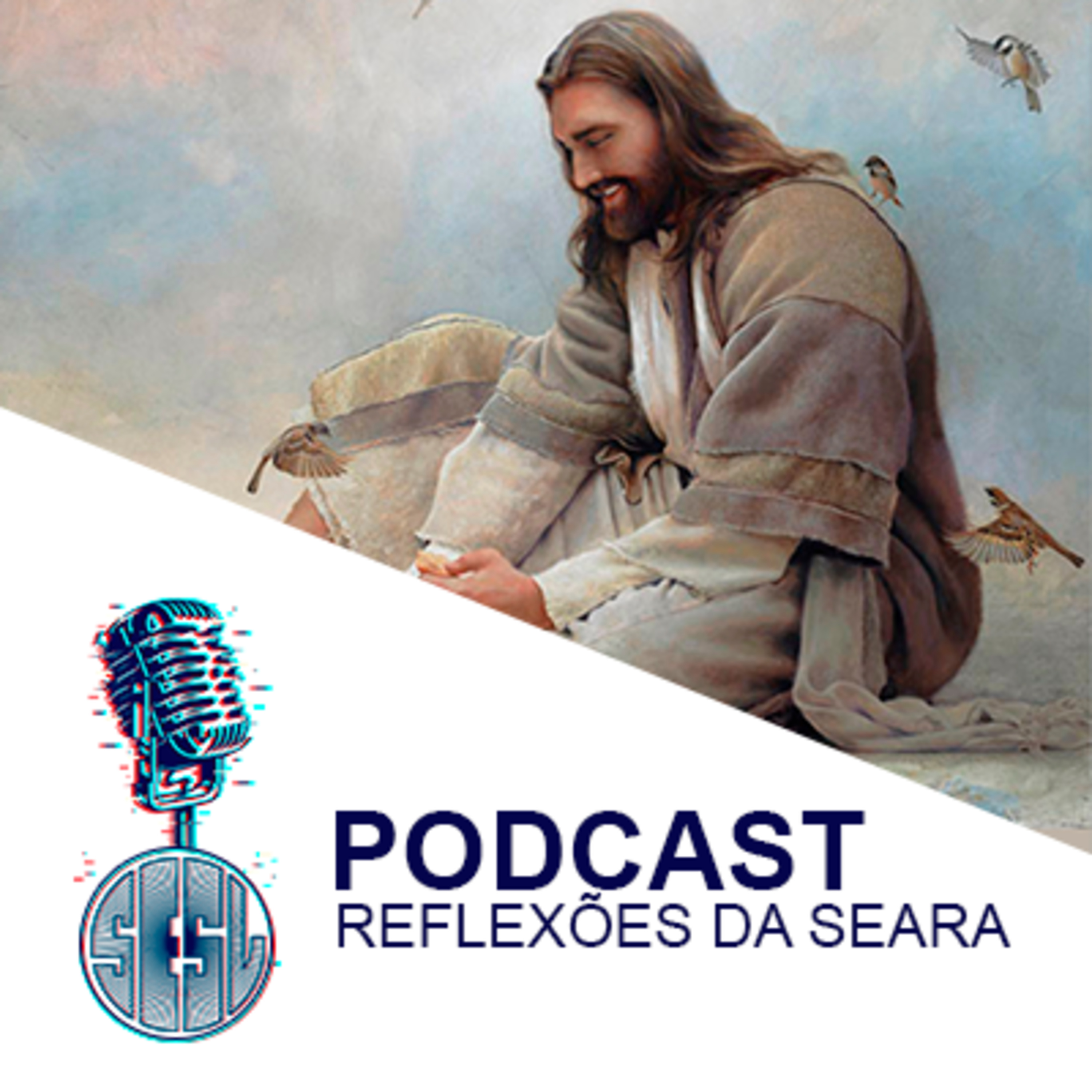 Reflexões da Seara