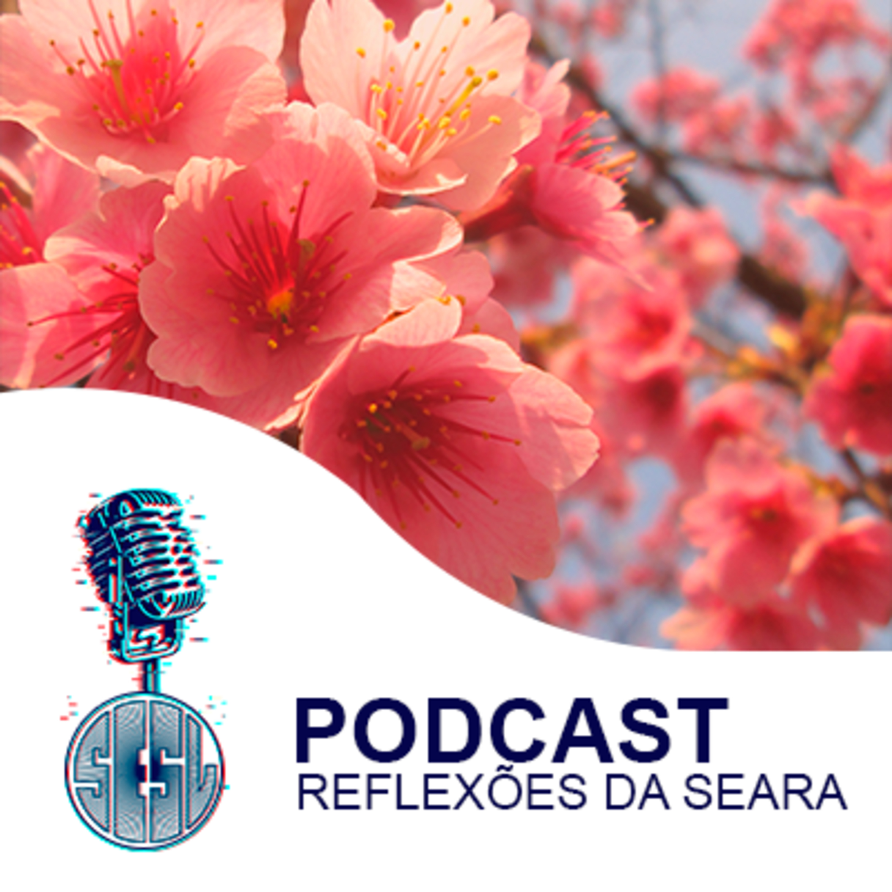 Reflexões da Seara