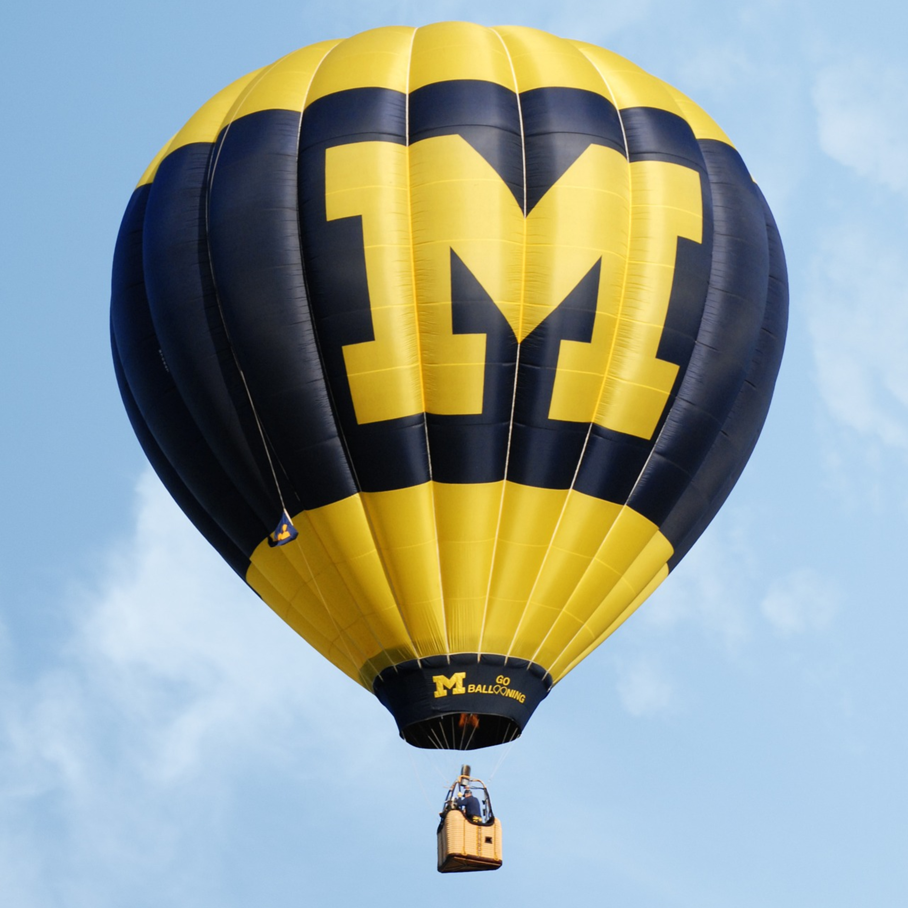 Flannel Sam The Sports Man