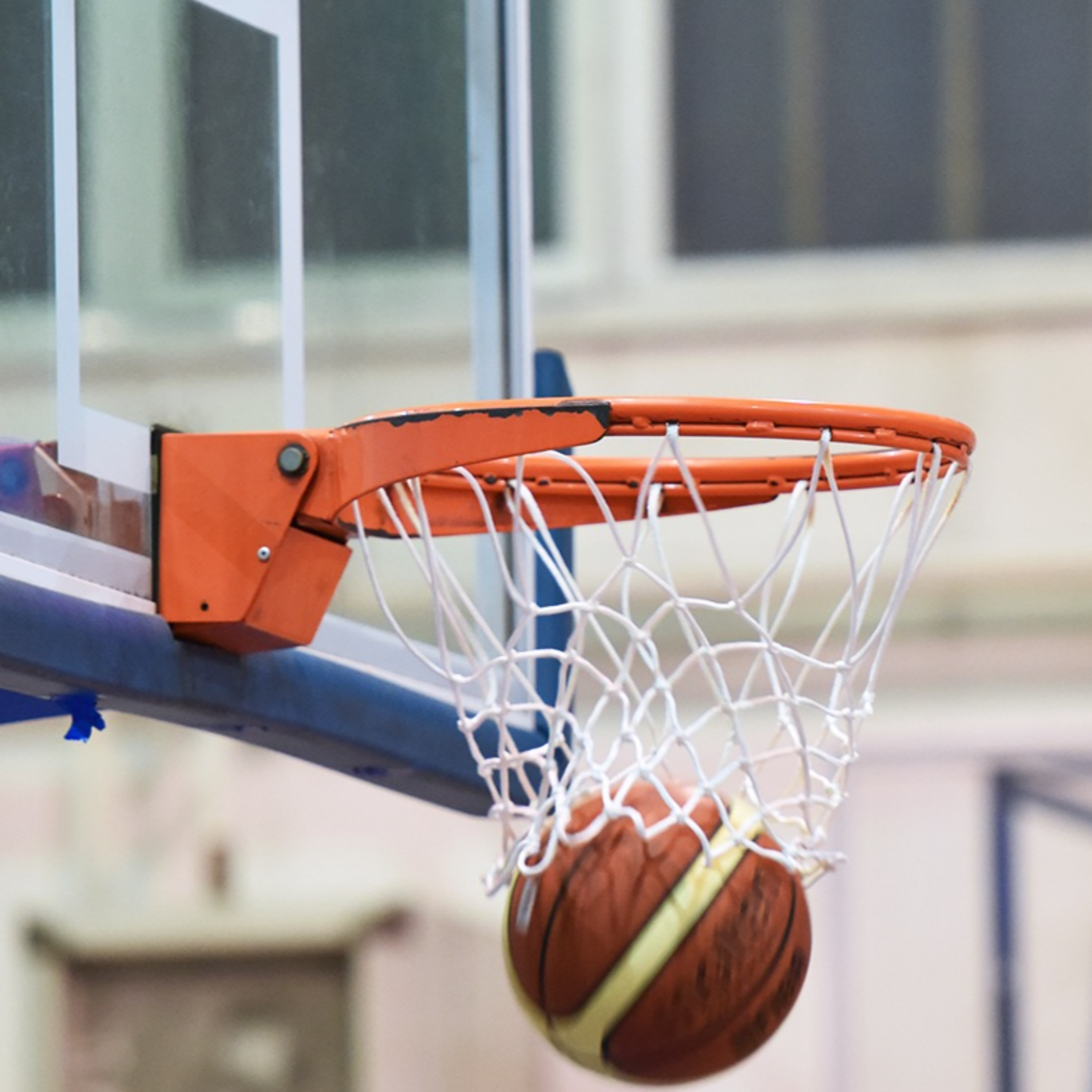 Flannel Sam The Sports Man