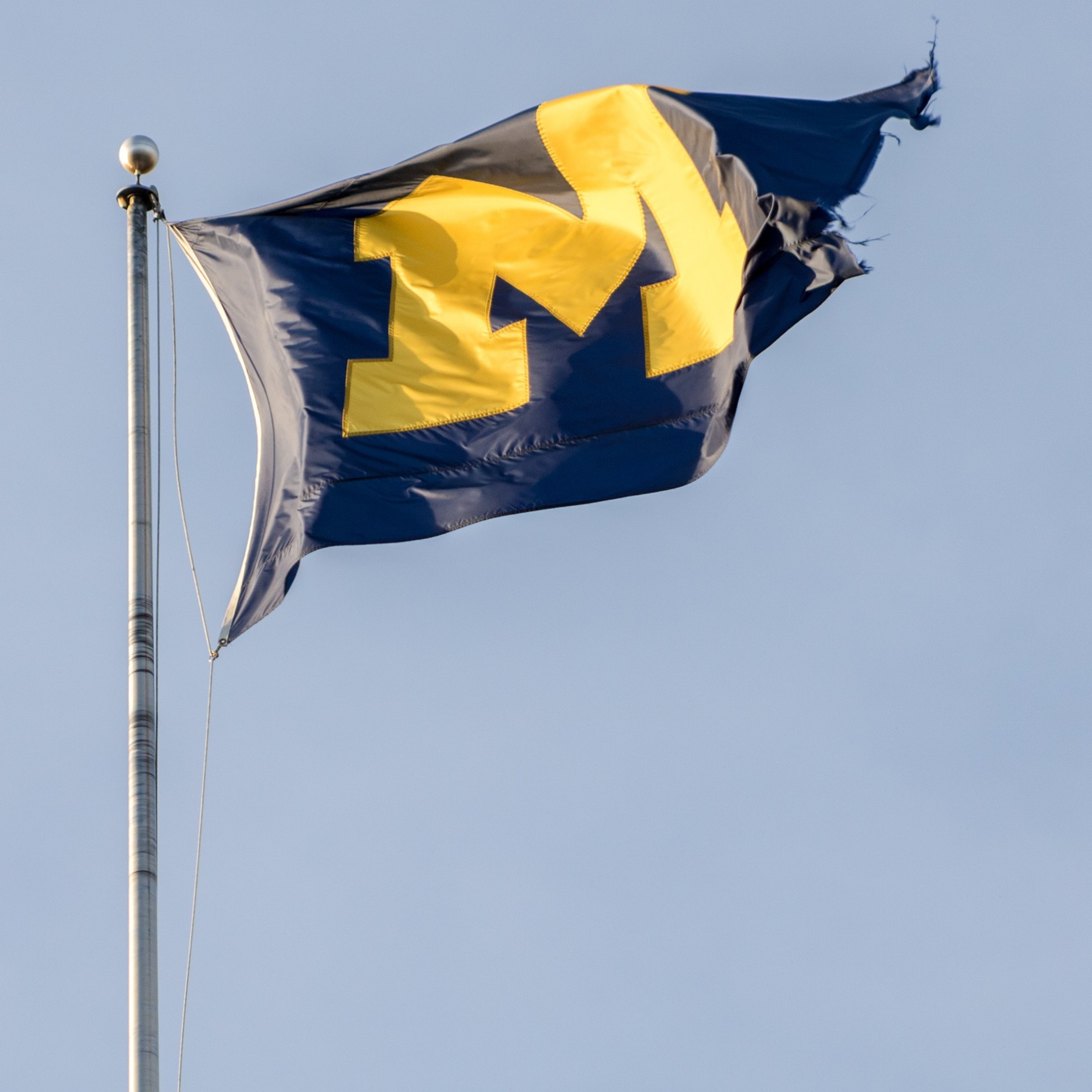 Flannel Sam The Sports Man