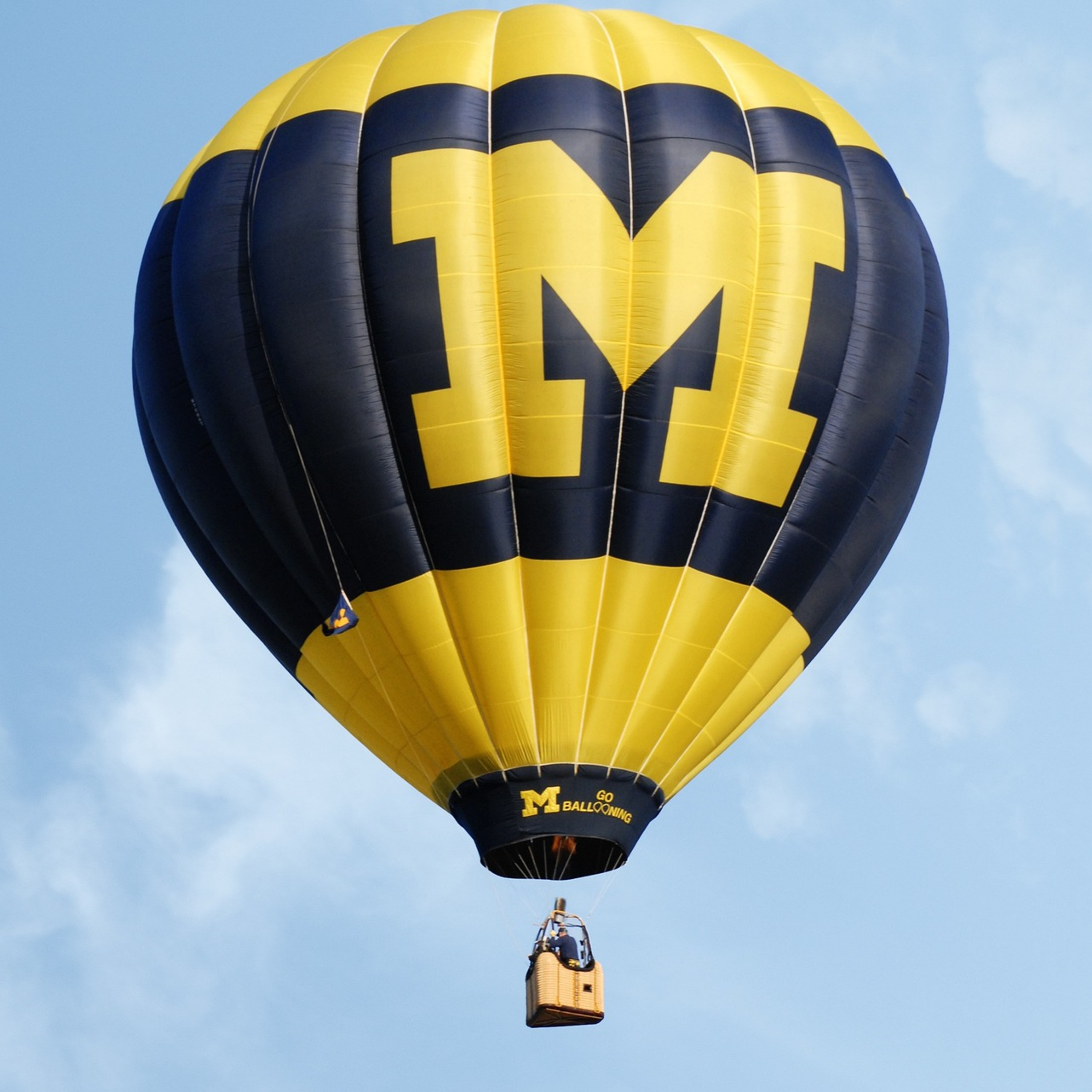 Flannel Sam The Sports Man