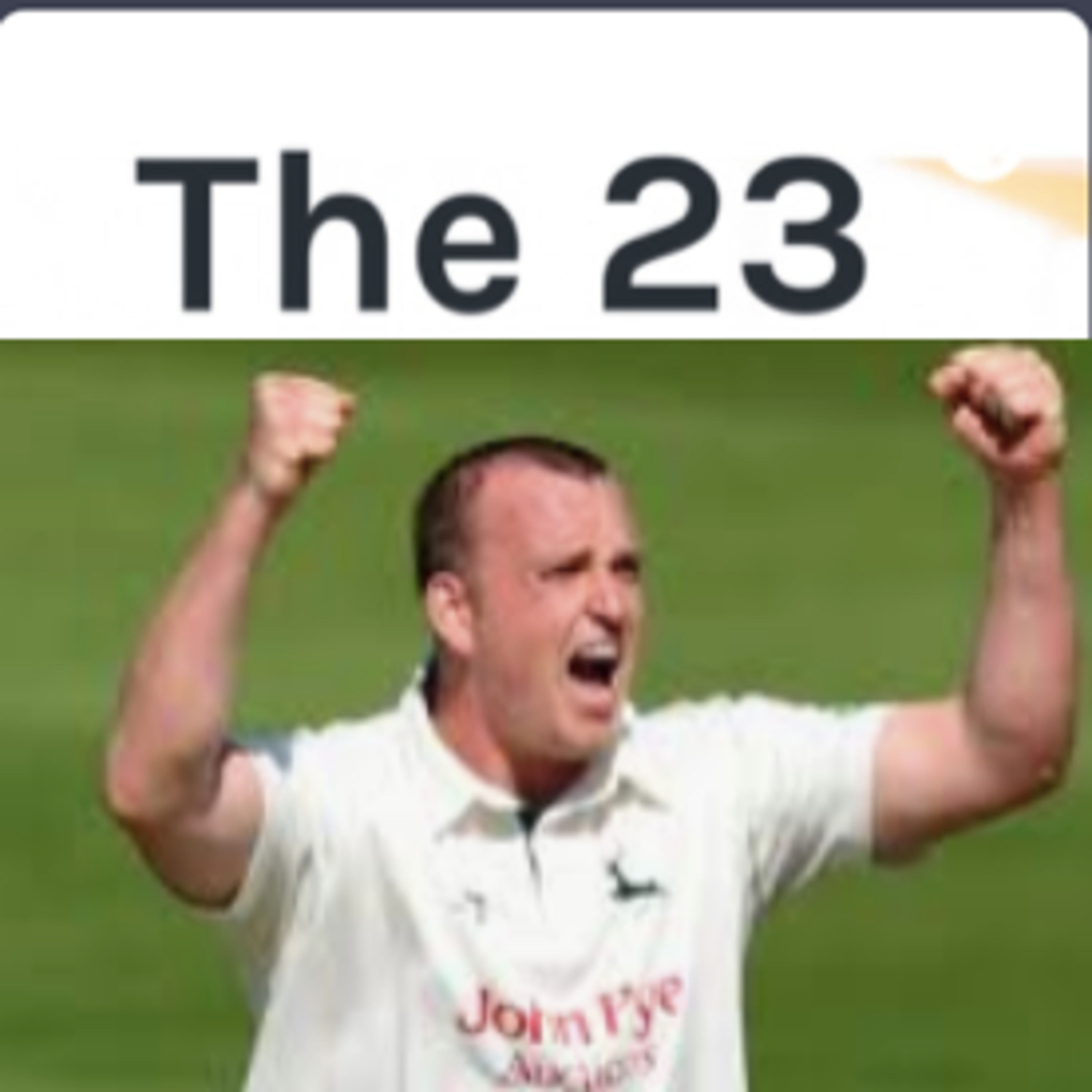 The 23