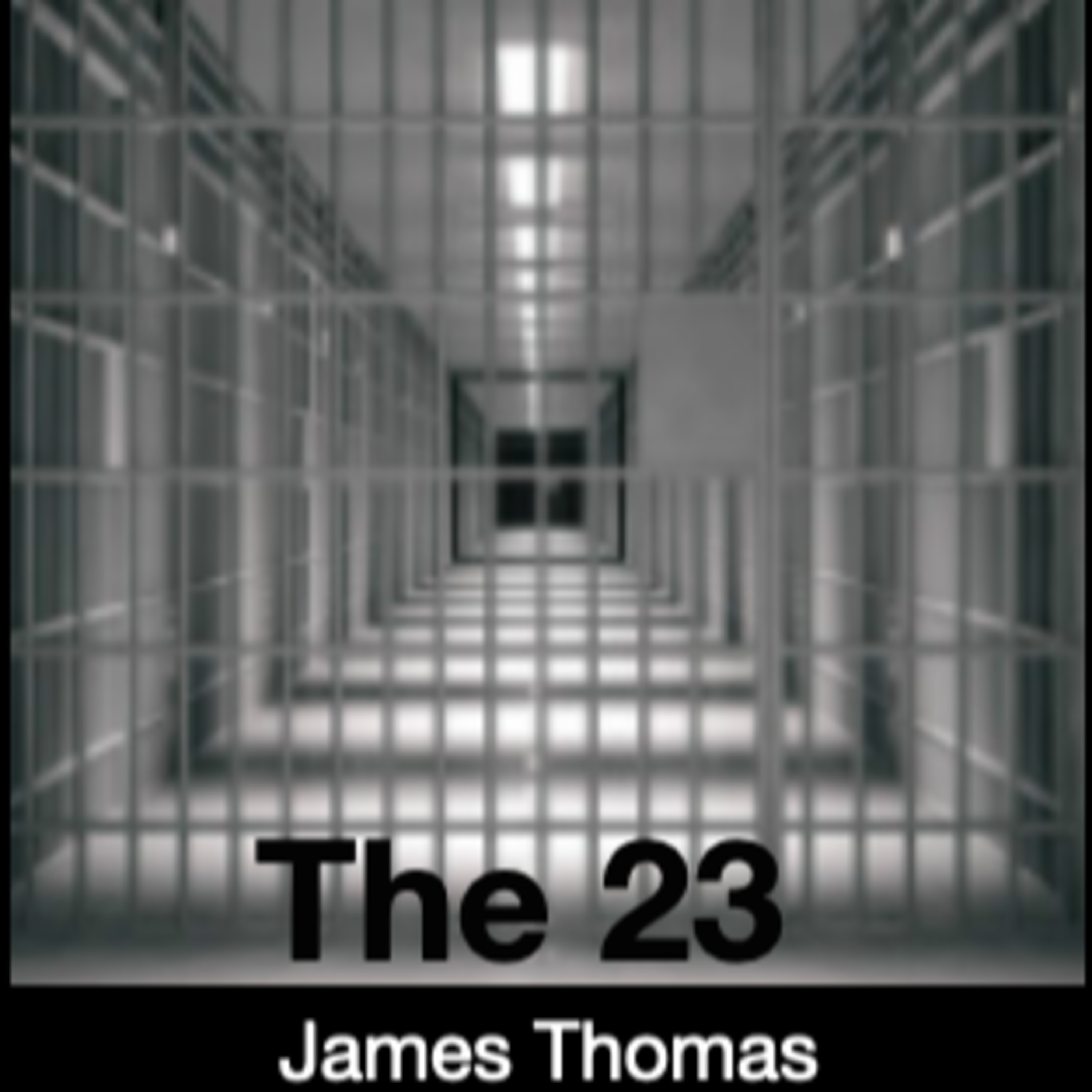 The 23