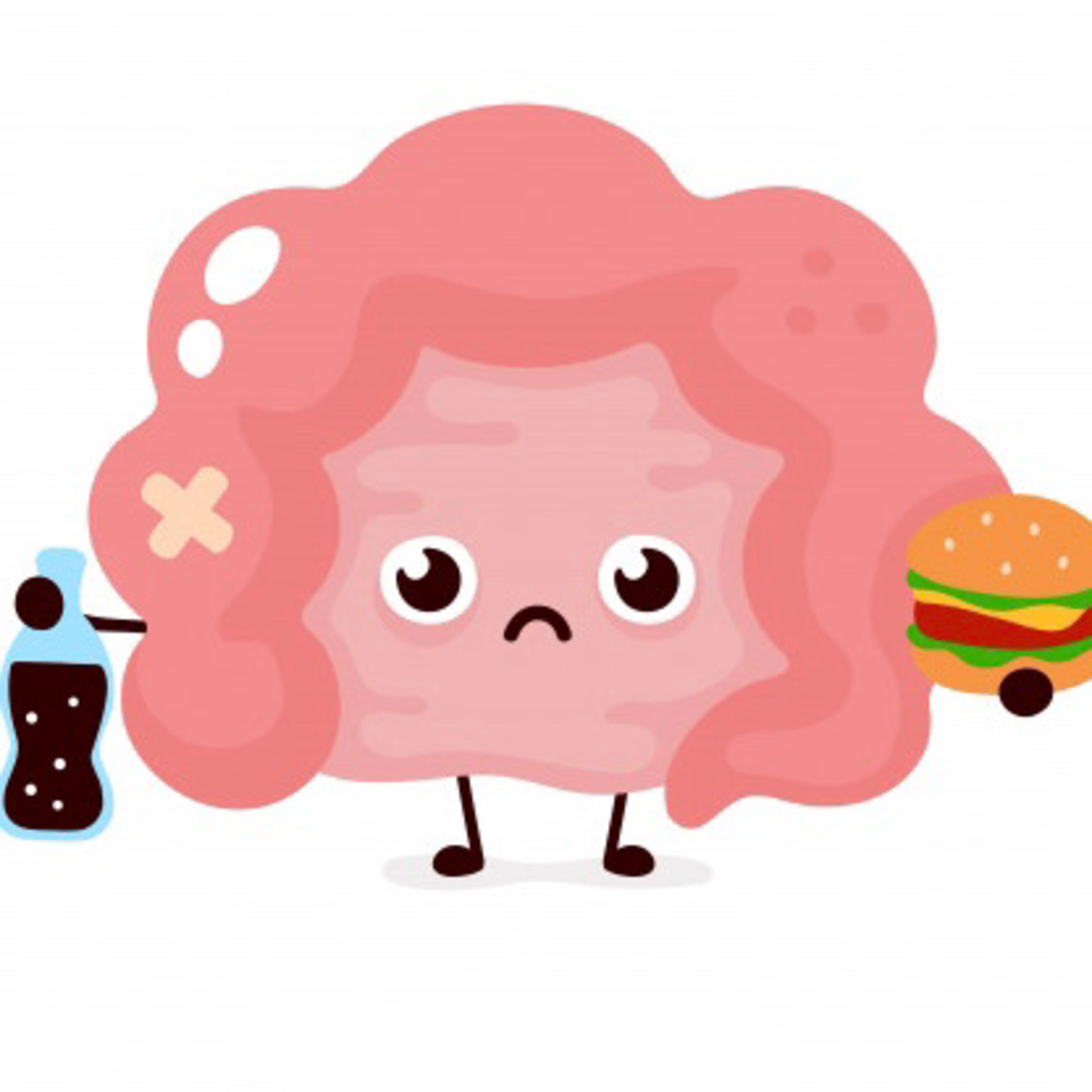 Alimentos desfavoráveis à microbiota intestinal.