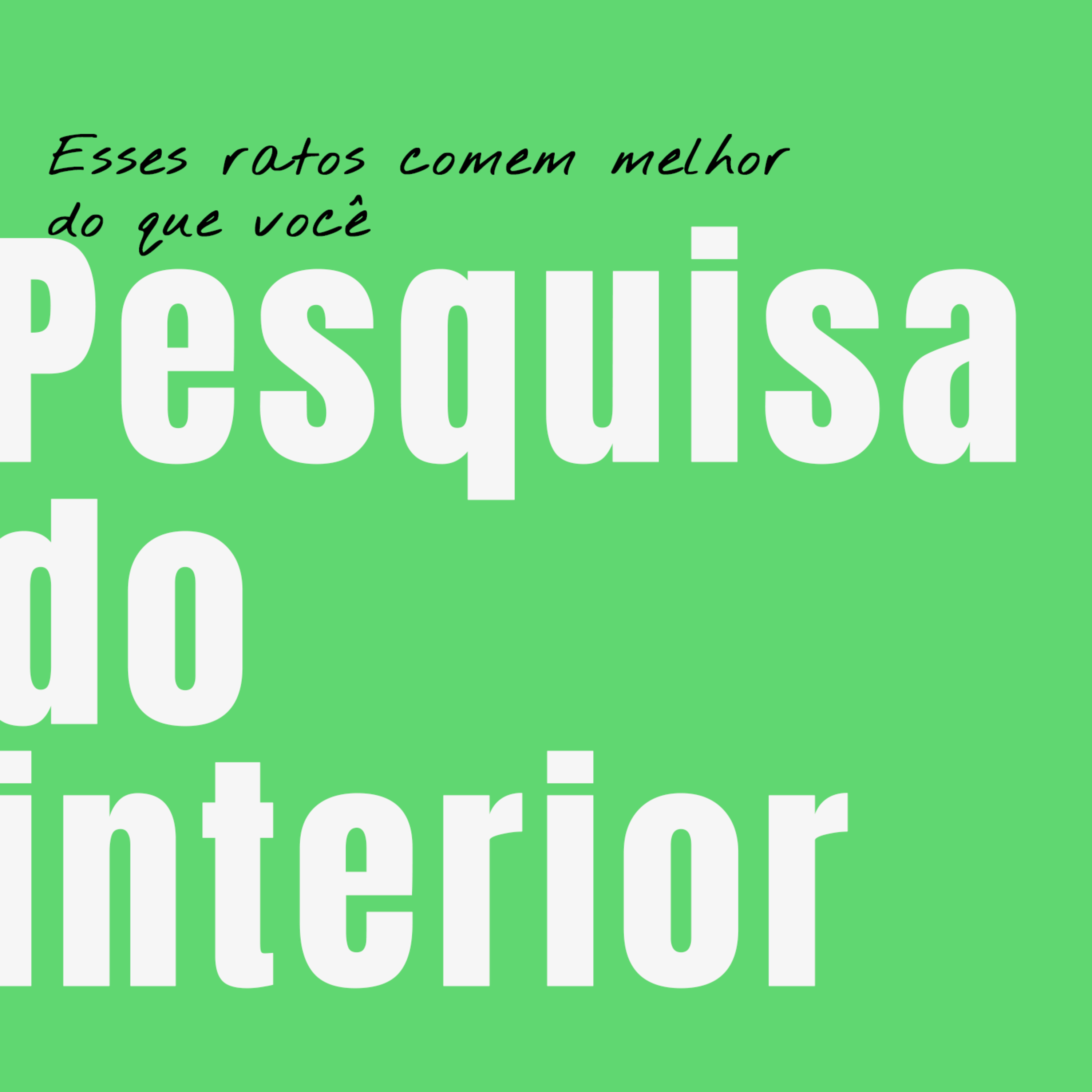 Esses ratos comem melhor do que você | Pesquisa do interior