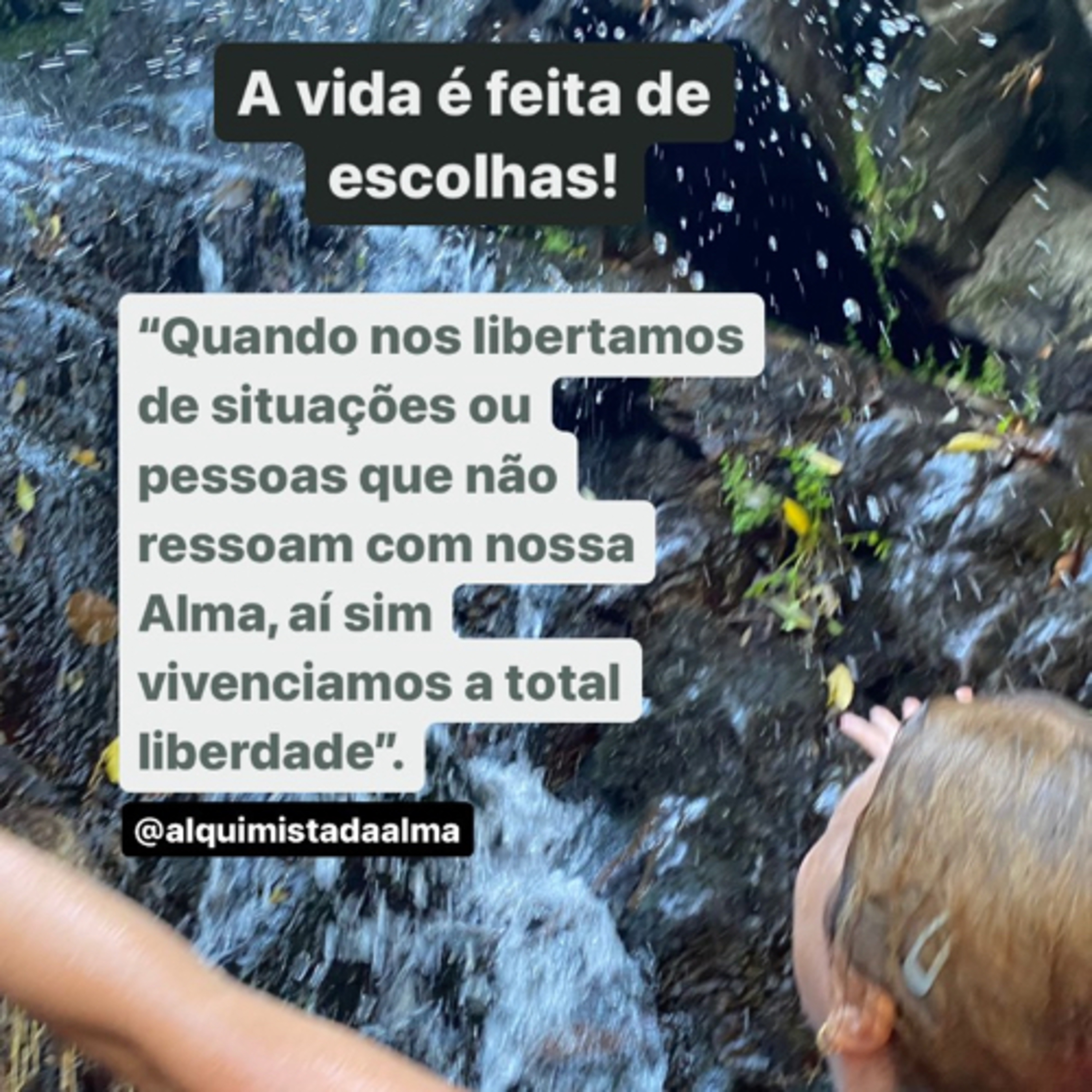 Alquimia na Real