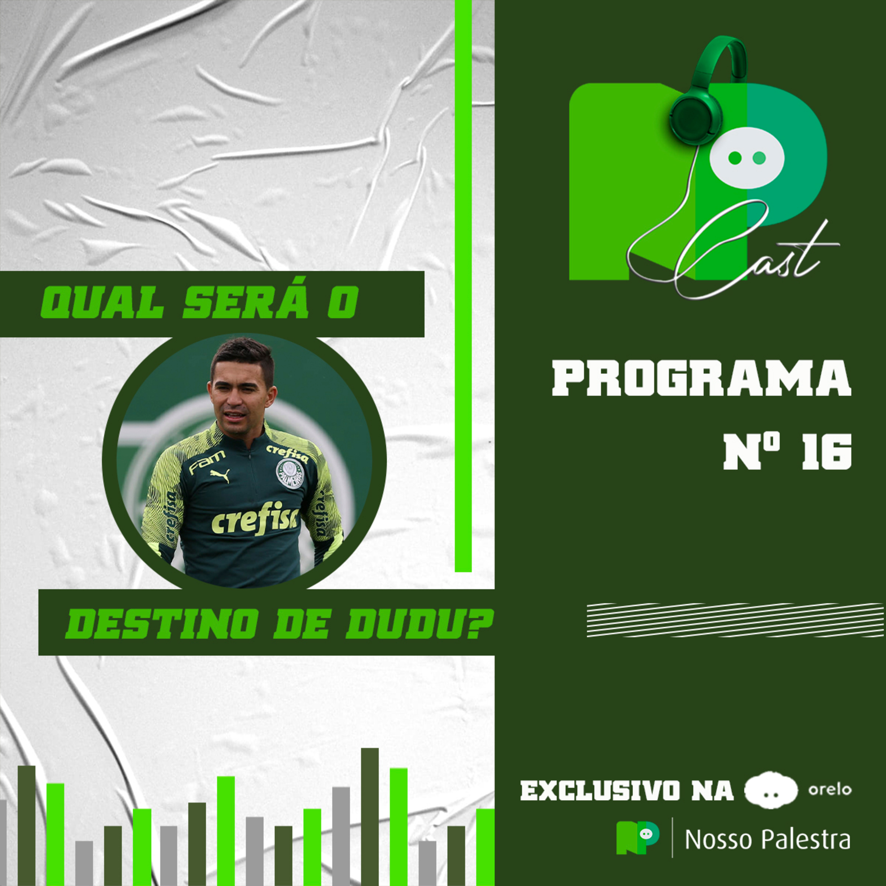 NPCast #16 - Qual será o destino de Dudu? episode artwork
