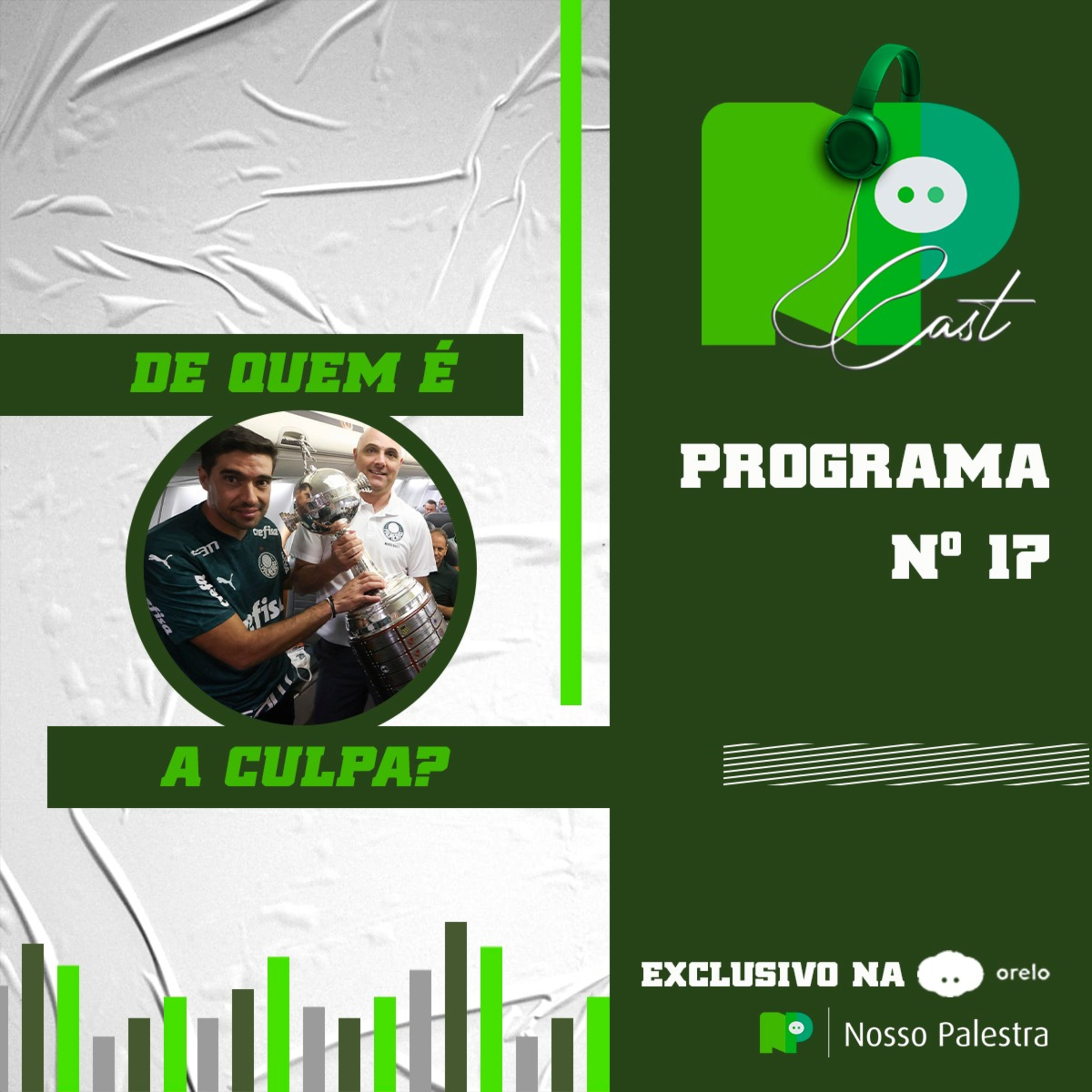 NPCast #17 - Quem é o maior culpado pelo momento conturbado do Palmeiras? episode artwork