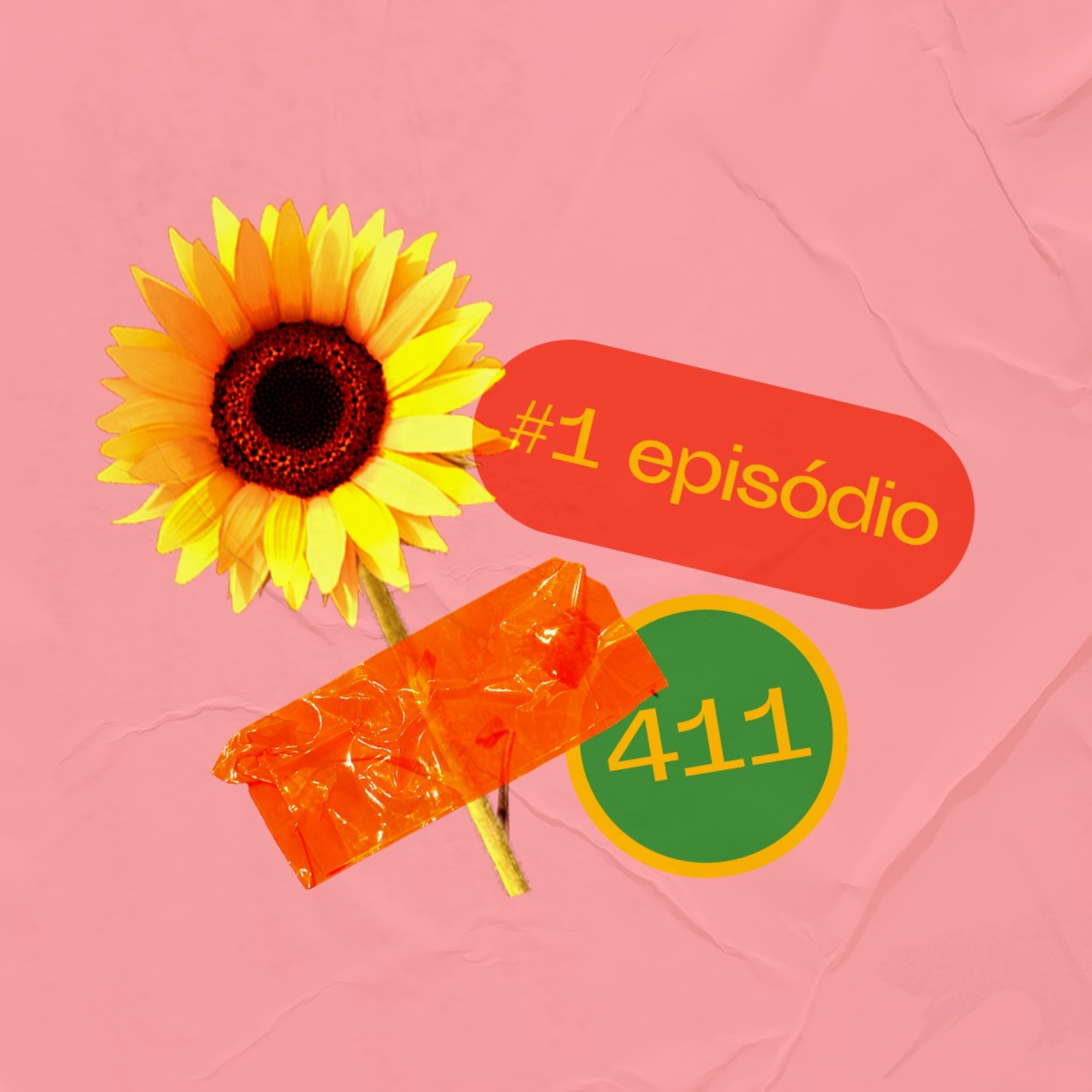 Girassol 411