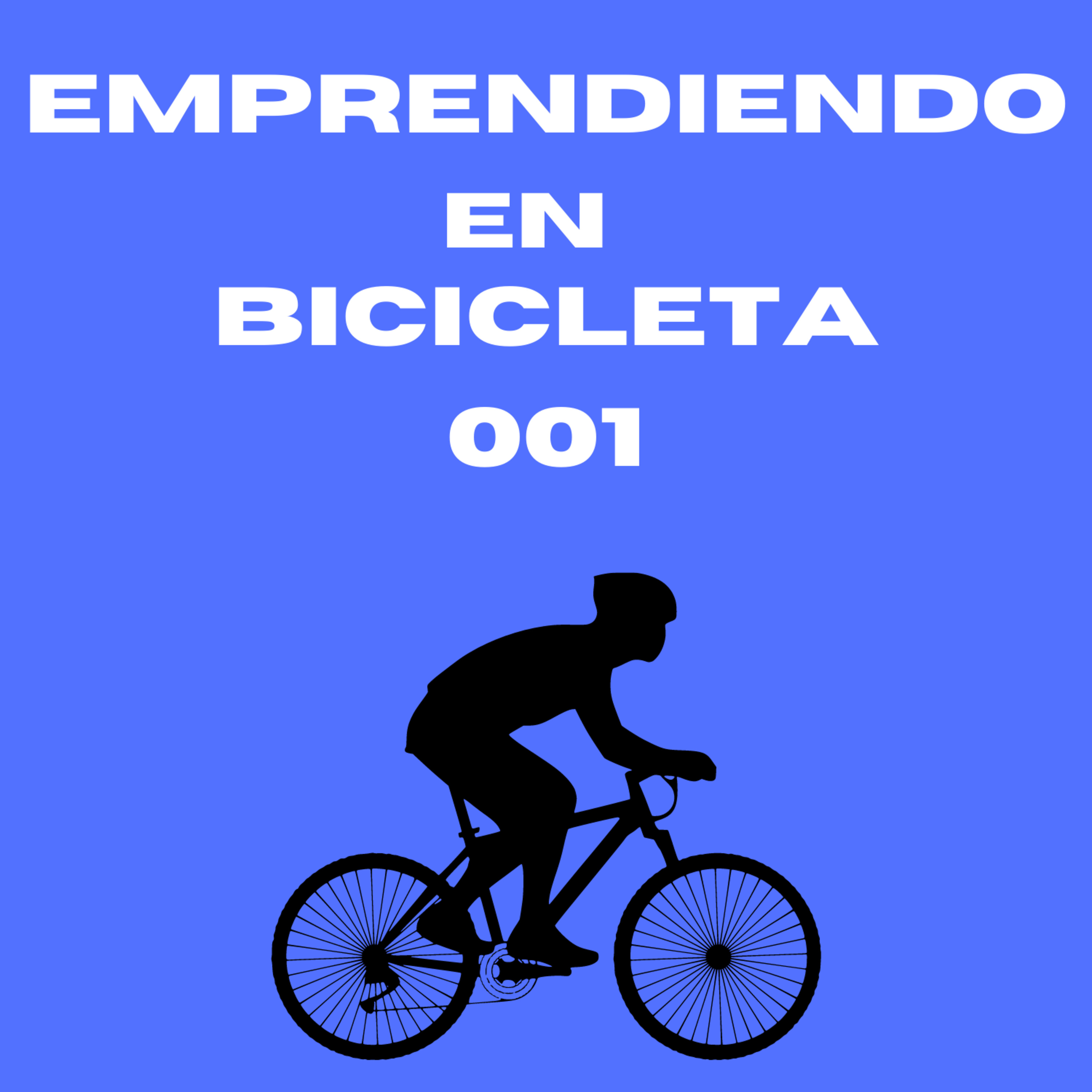 Memorias de un emprendedor tortuga