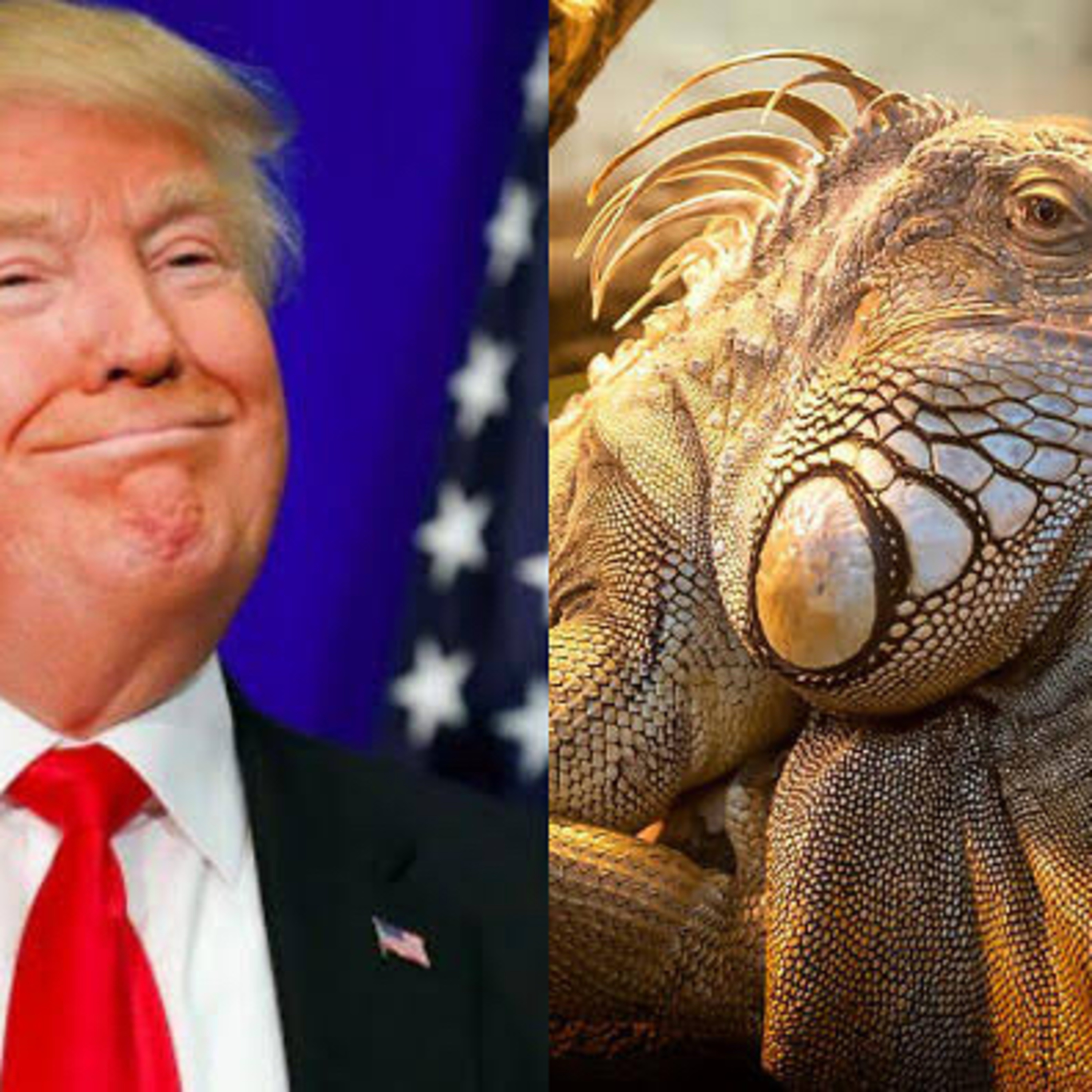 Teori konspirasi The Lizard People (Manusia Reptil)