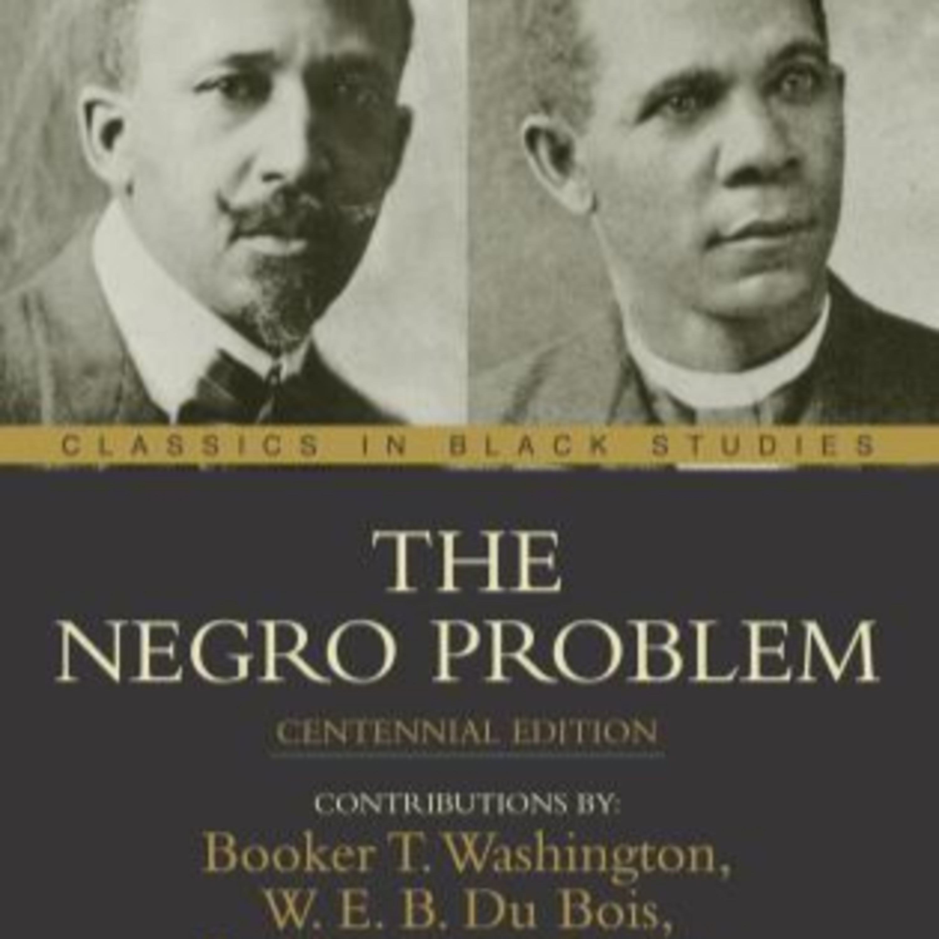 A Book Review - The Negro Problem Book by Booker T. Washington a dedication to Mr. Chadwick Boseman