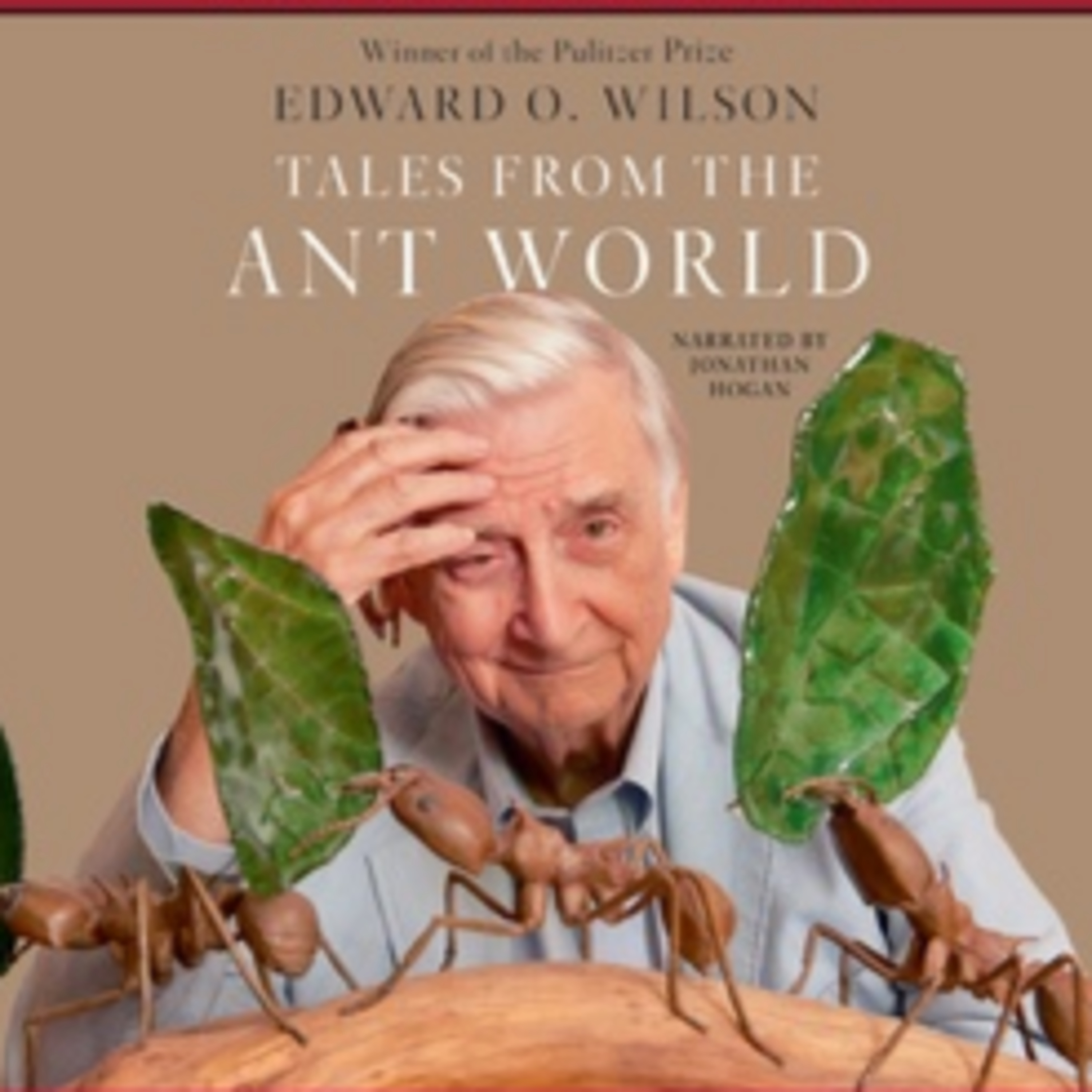 A Book Review - Tales from the Ant World Book by E. O. Wilson