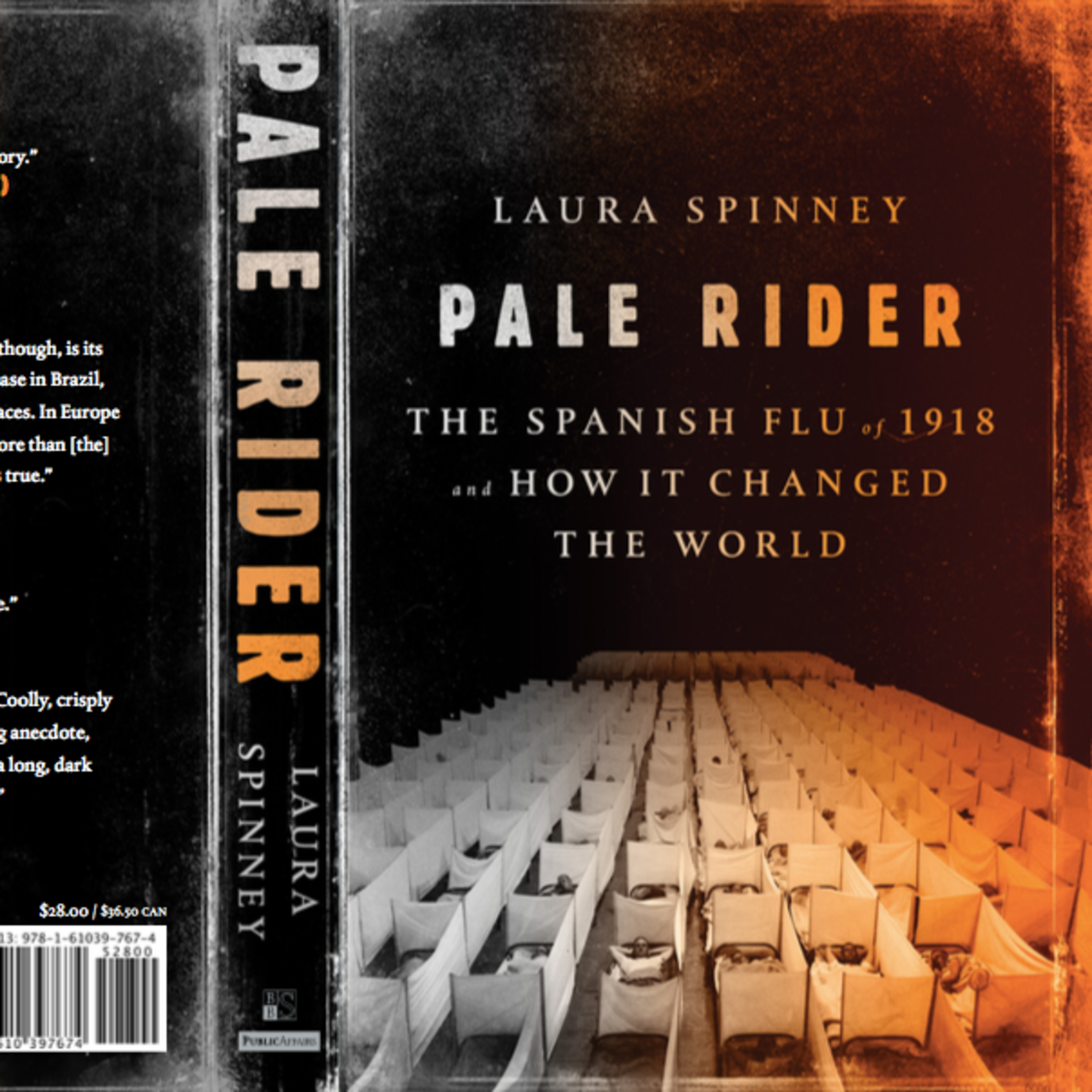 A Book(s) Review - 5 books in: Pale Rider: Book by Laura Spinney episode artwork