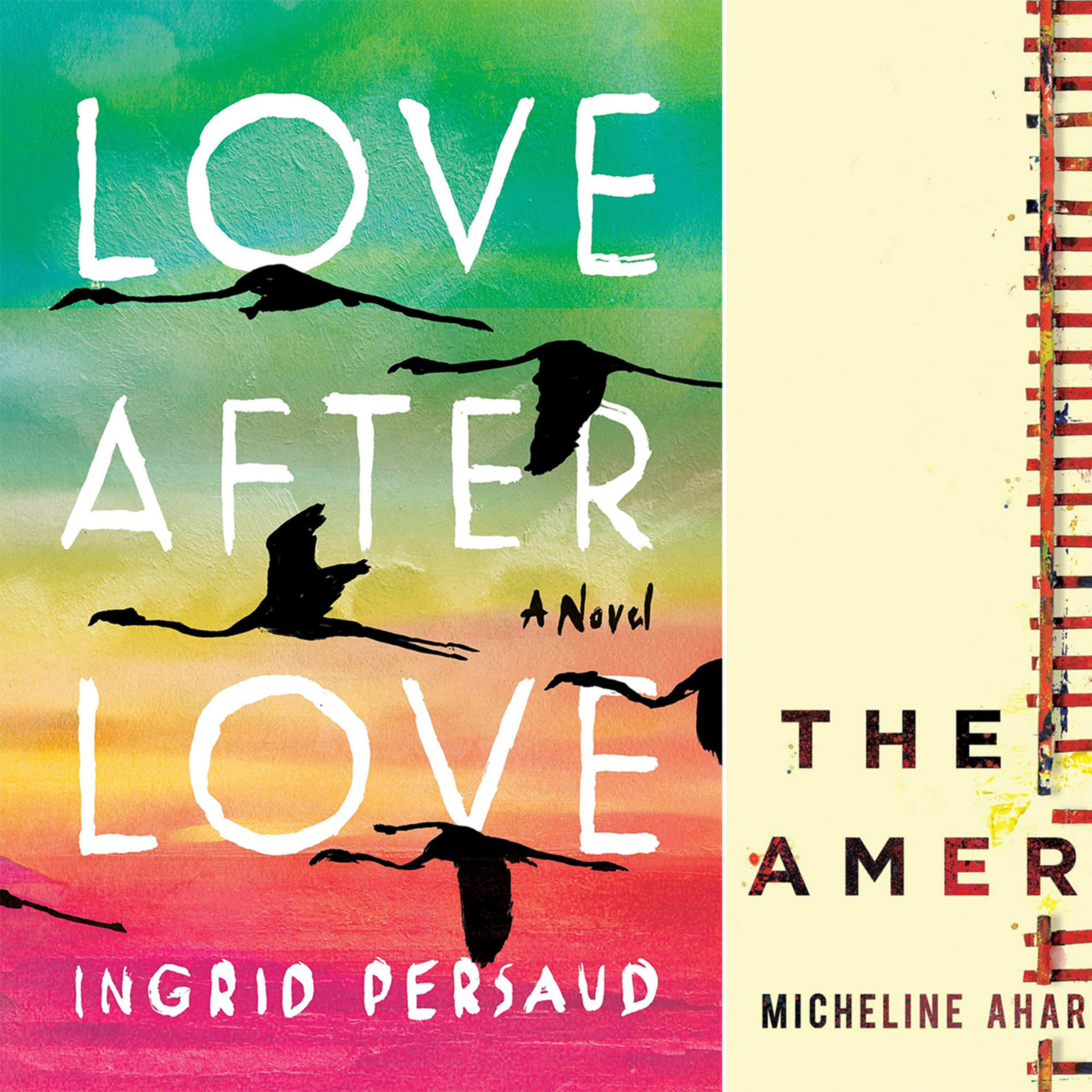 A Book Review - Love After Love: A Novel Book by Ingrid Persaud episode artwork