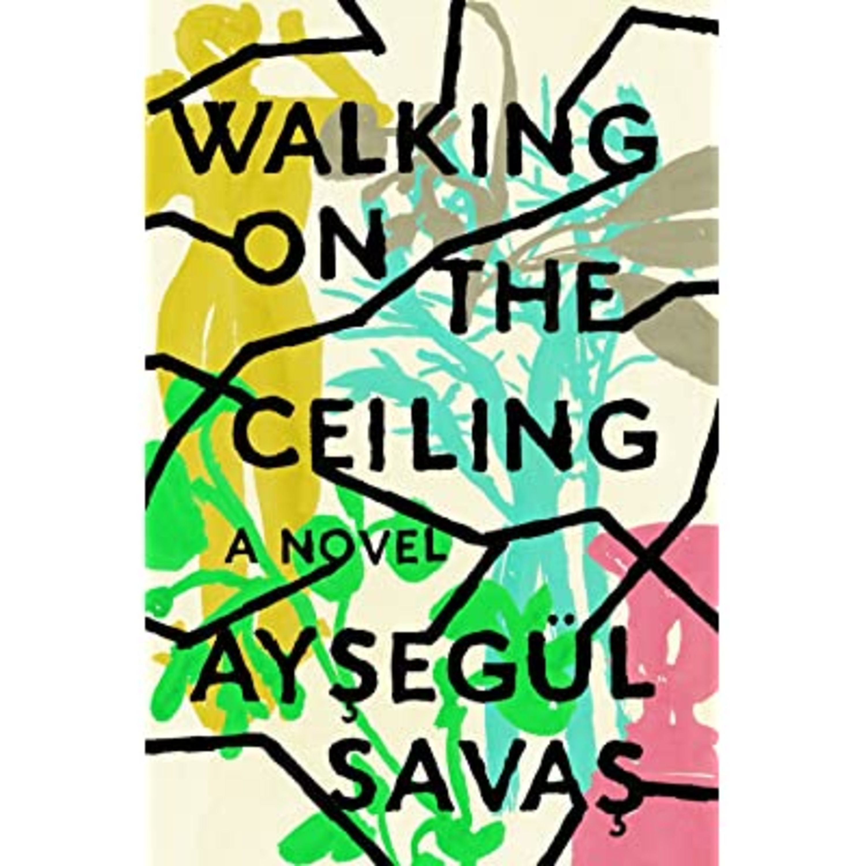 A Book Review - Walking on the Ceiling: A Novel Book by Aysegül Savas episode artwork