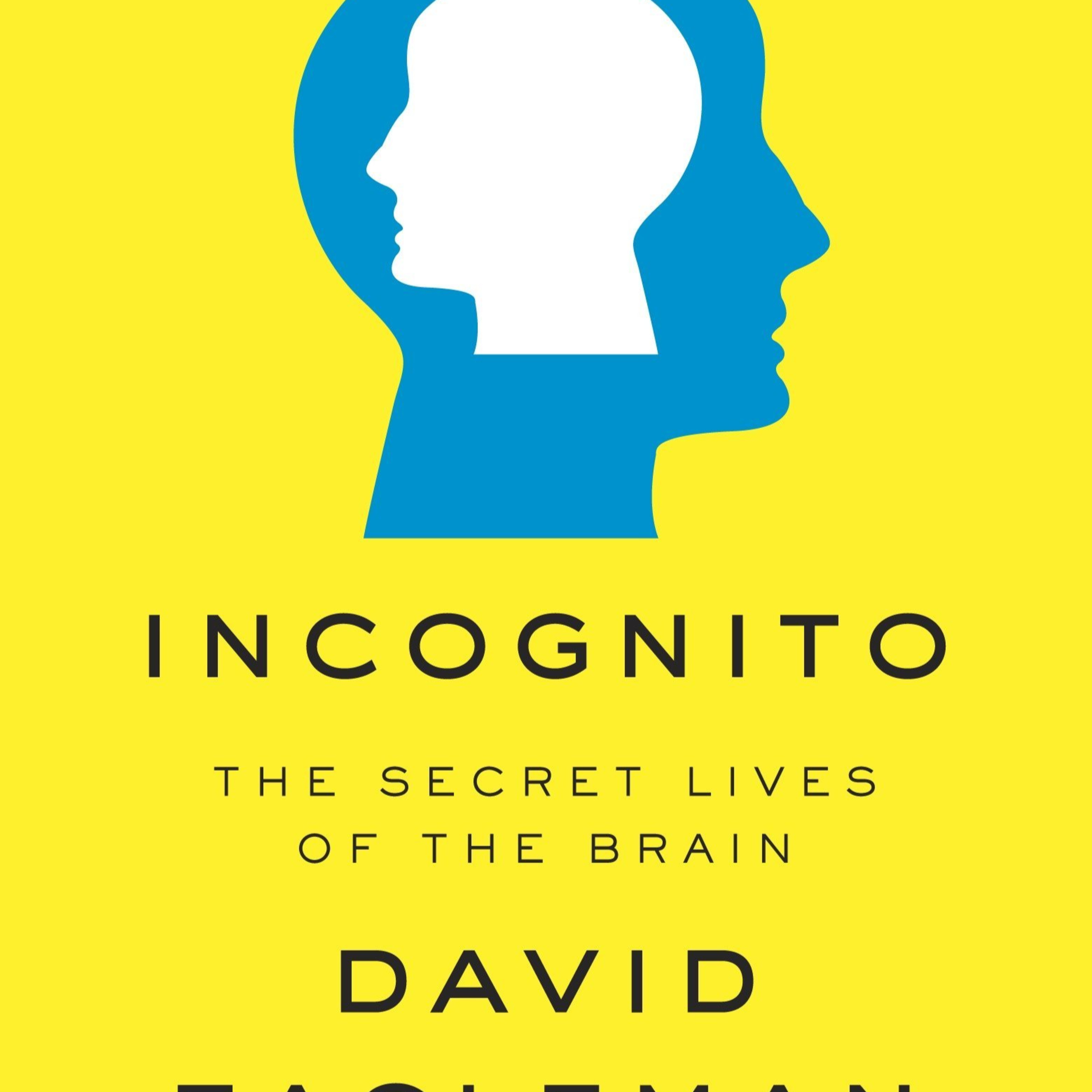 A Book Review - Incognito: The Secret Lives of the Brain Book by David Eagleman
