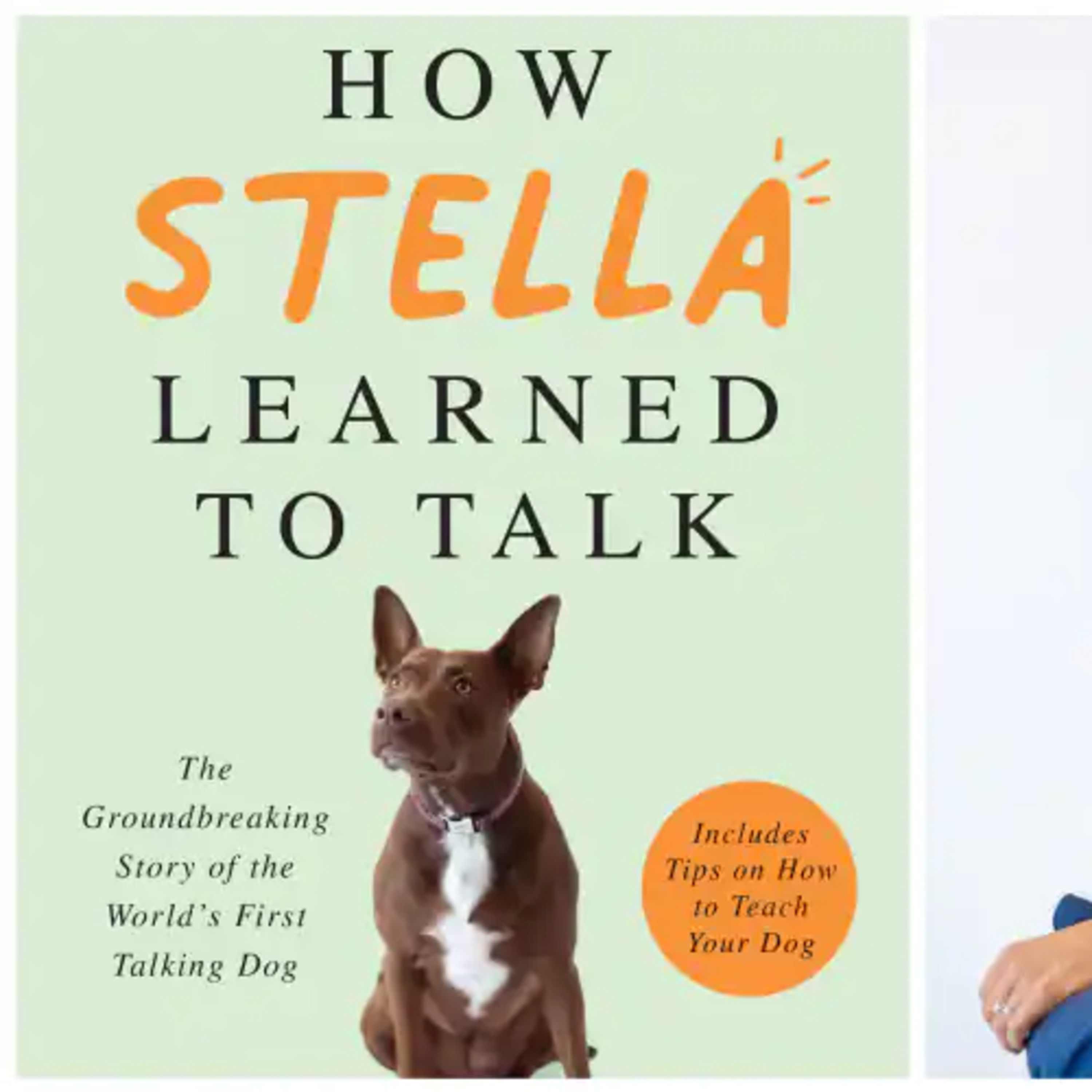 Pb Living - A daily book review