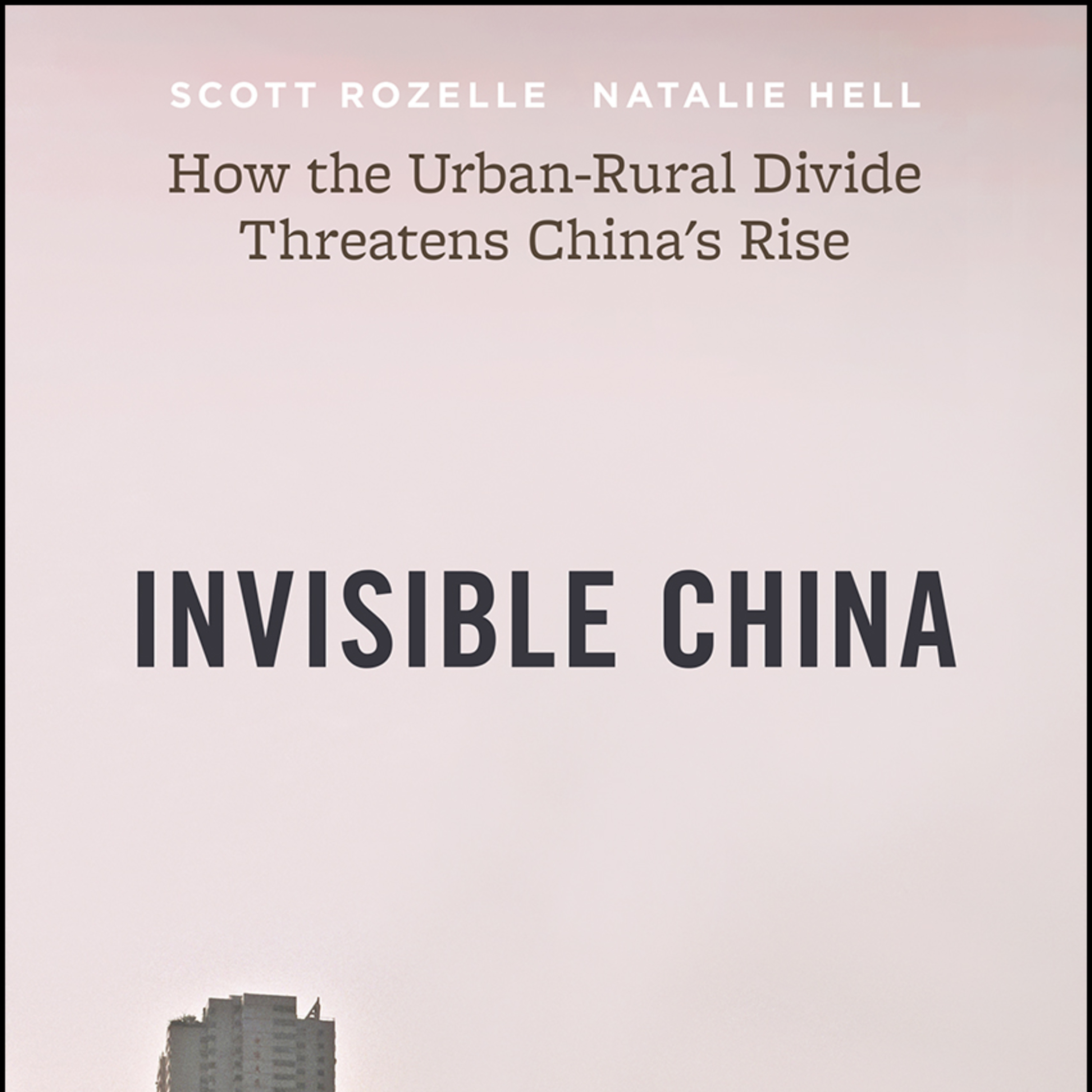 A Book Review - Invisible China: How the Urban-Rural Divide Threatens China’s Rise by Scott Rozelle, Natalie Hell episode artwork
