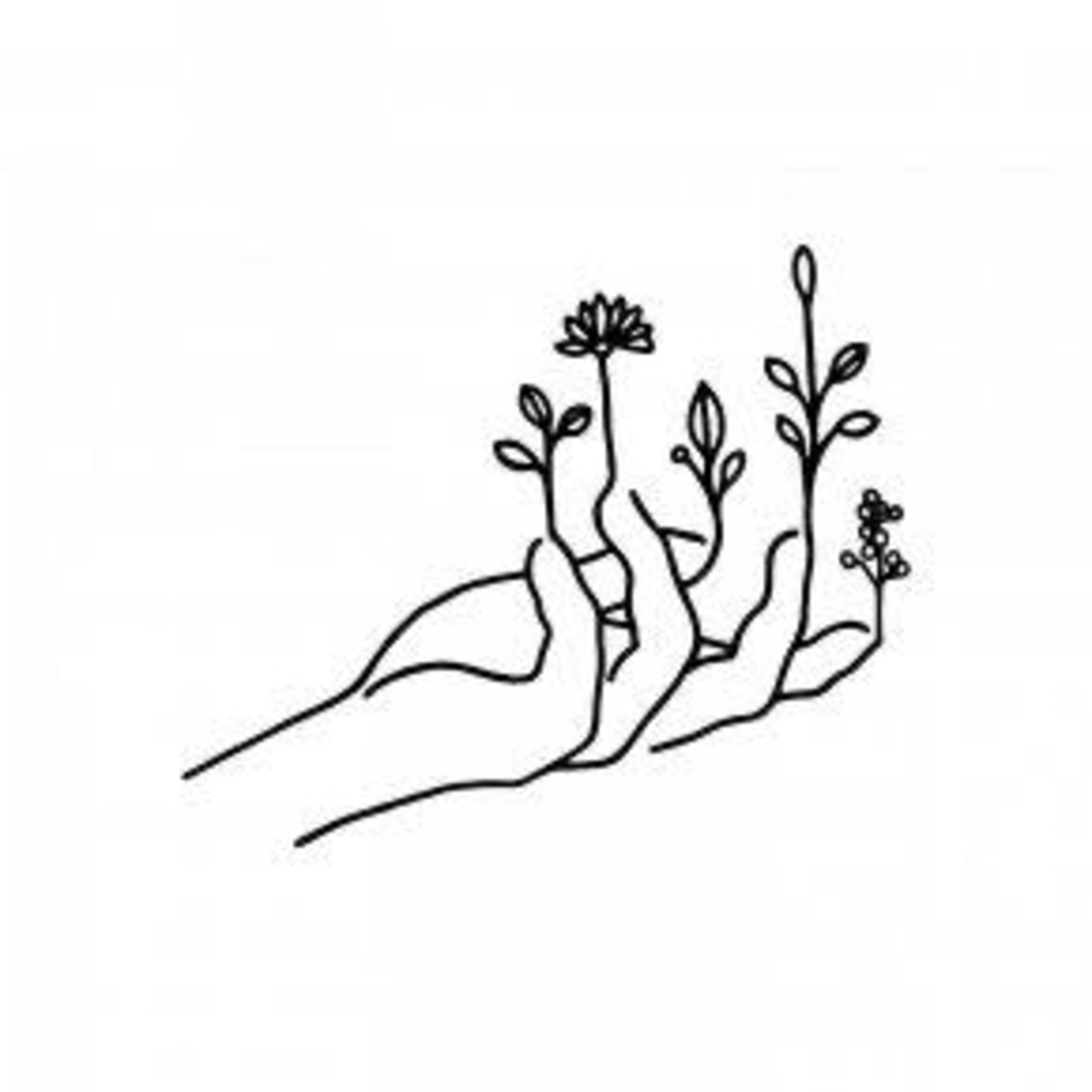 Nature  episode artwork