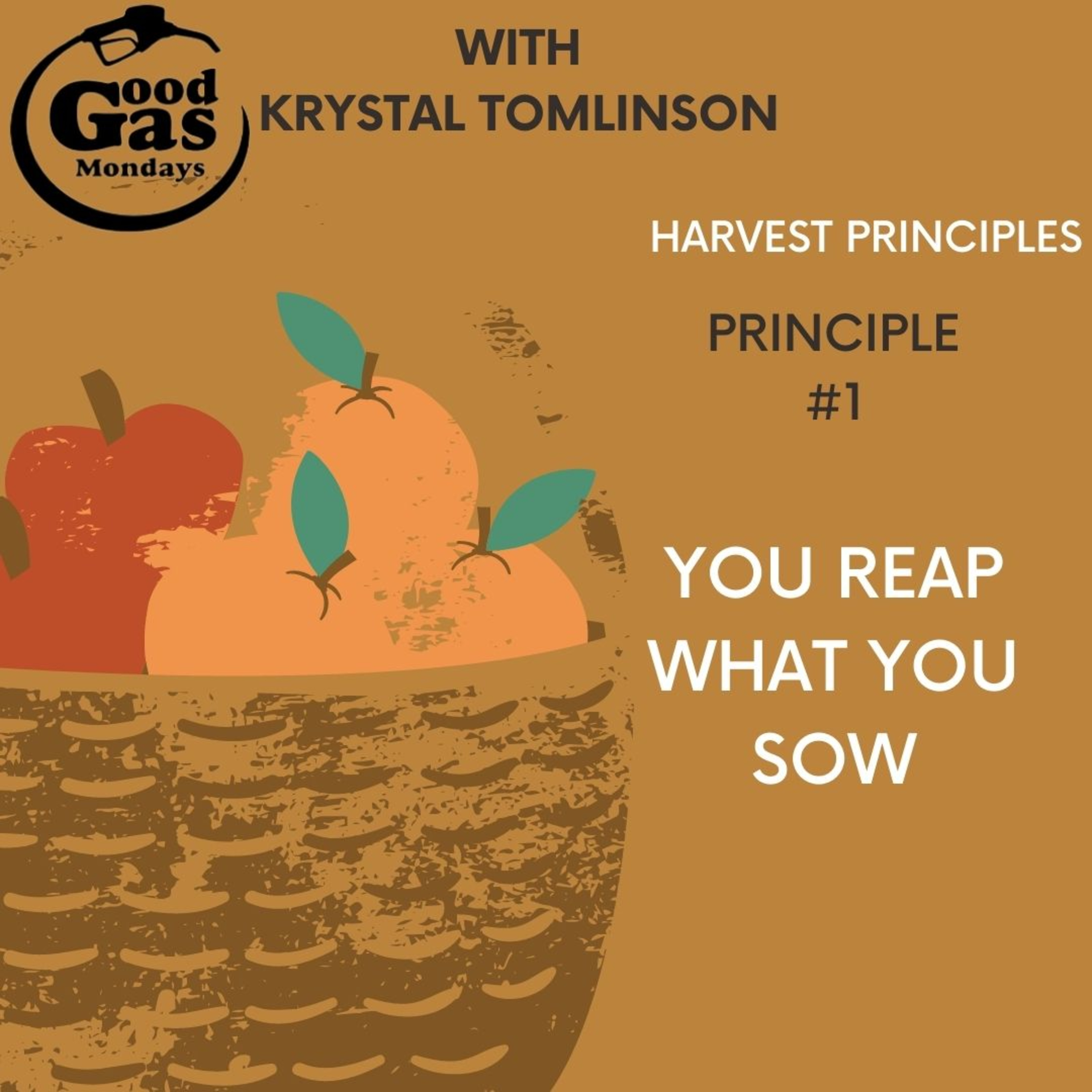 EP29 - HARVEST PRINCIPLE #1: You reap what you sow episode artwork
