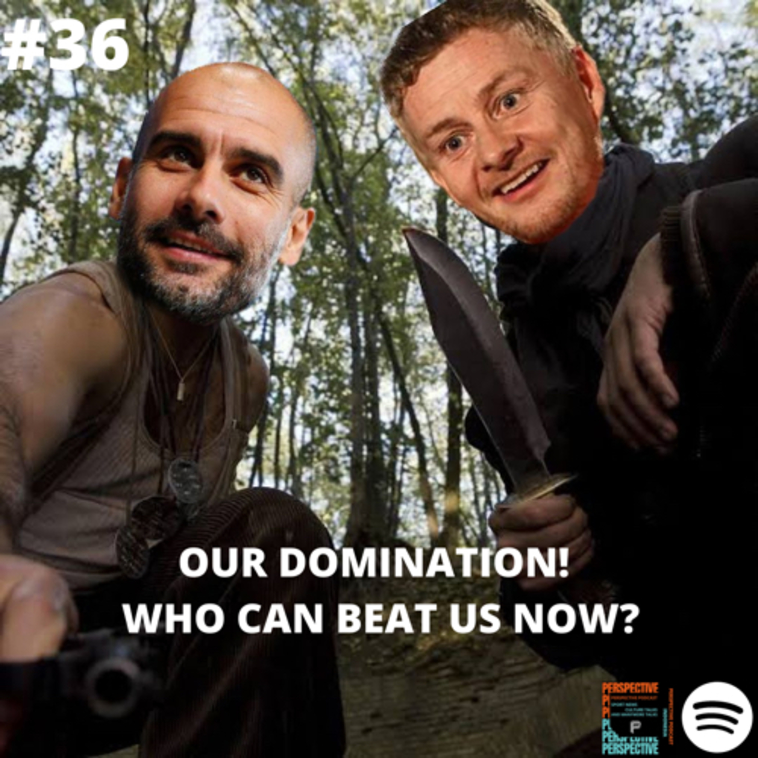 Perspective Football Podcast
